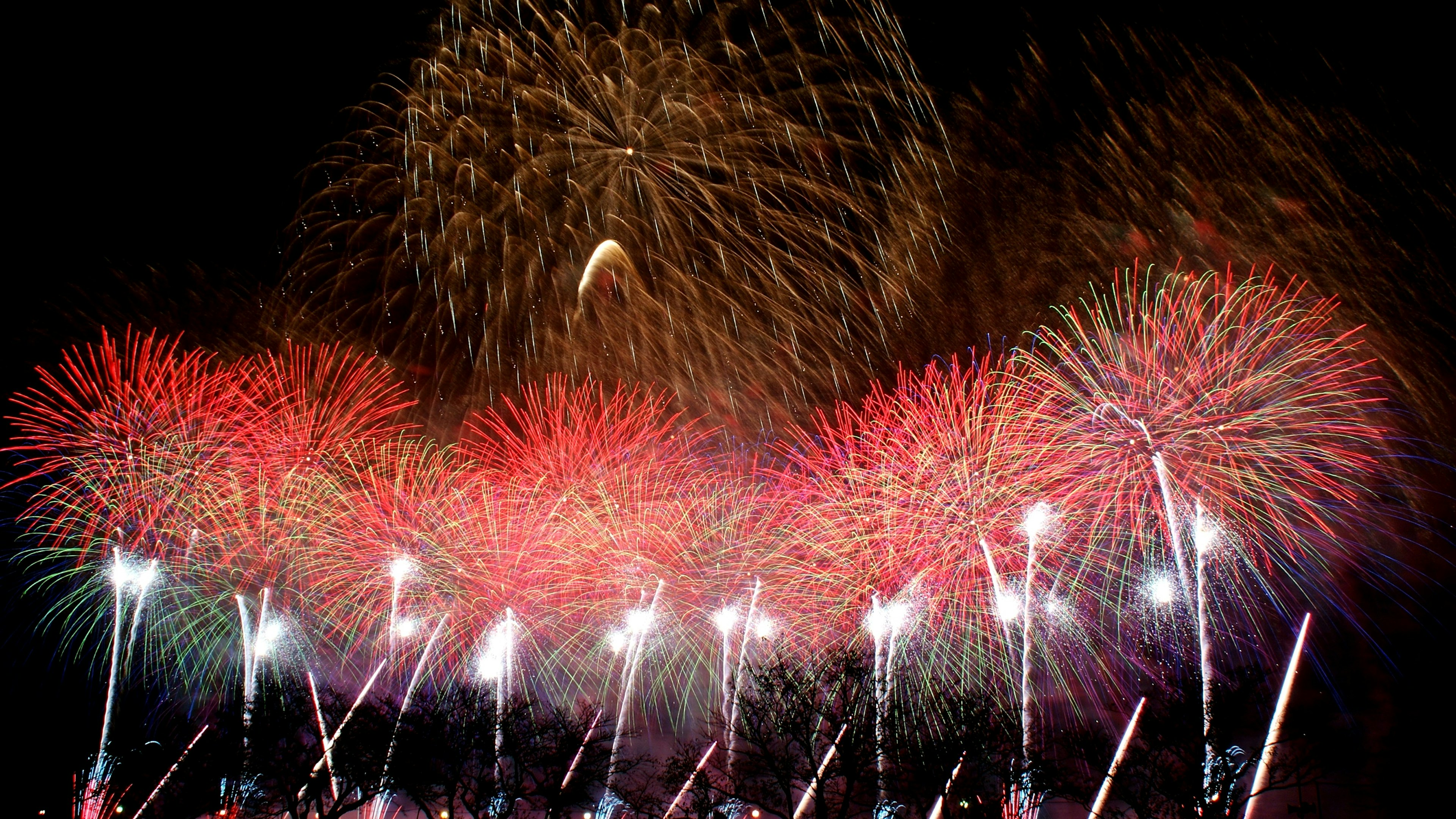 夜空に広がるカラフルな花火のショー