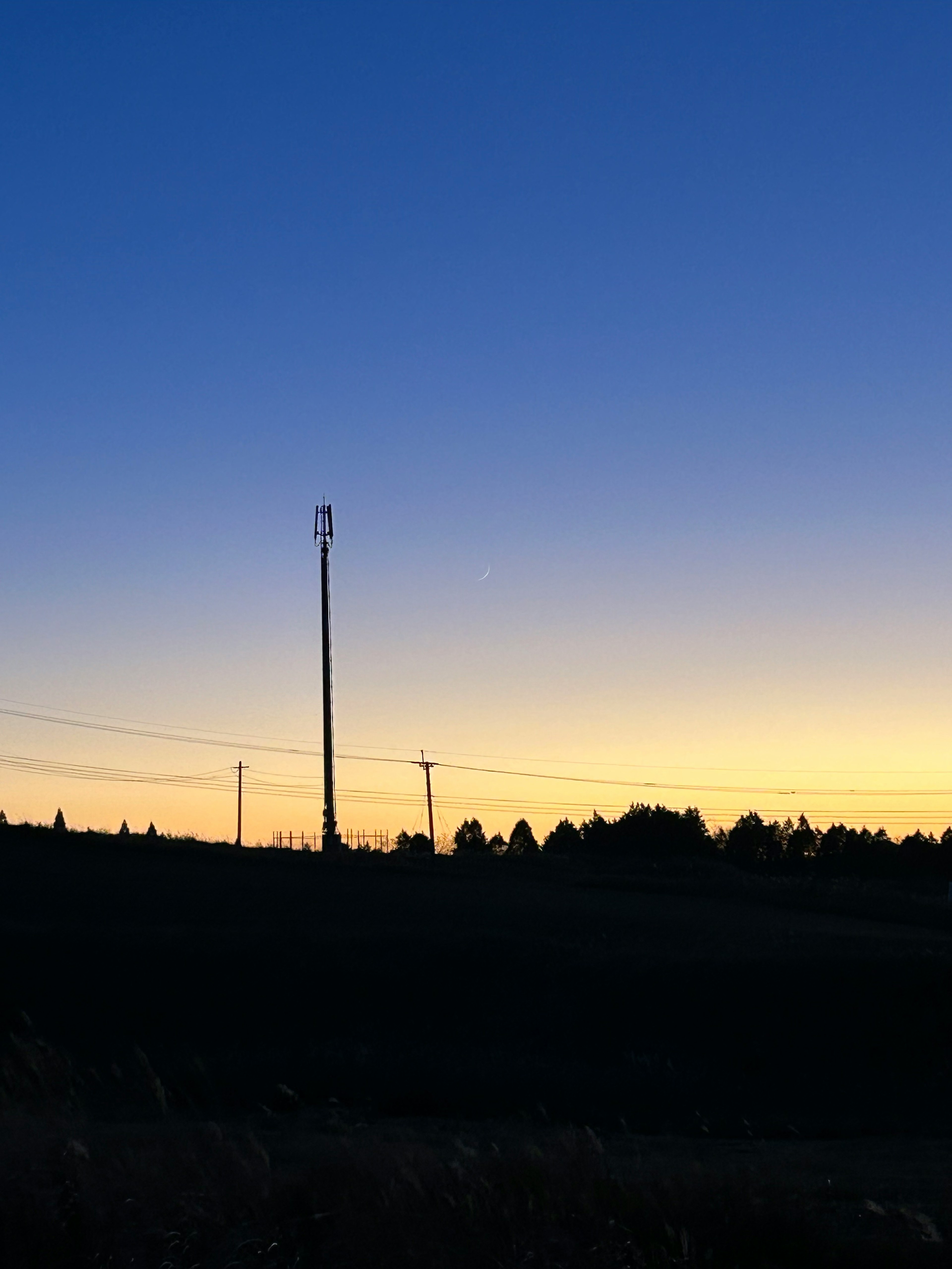 Silhouette of a power pole and wires during twilight