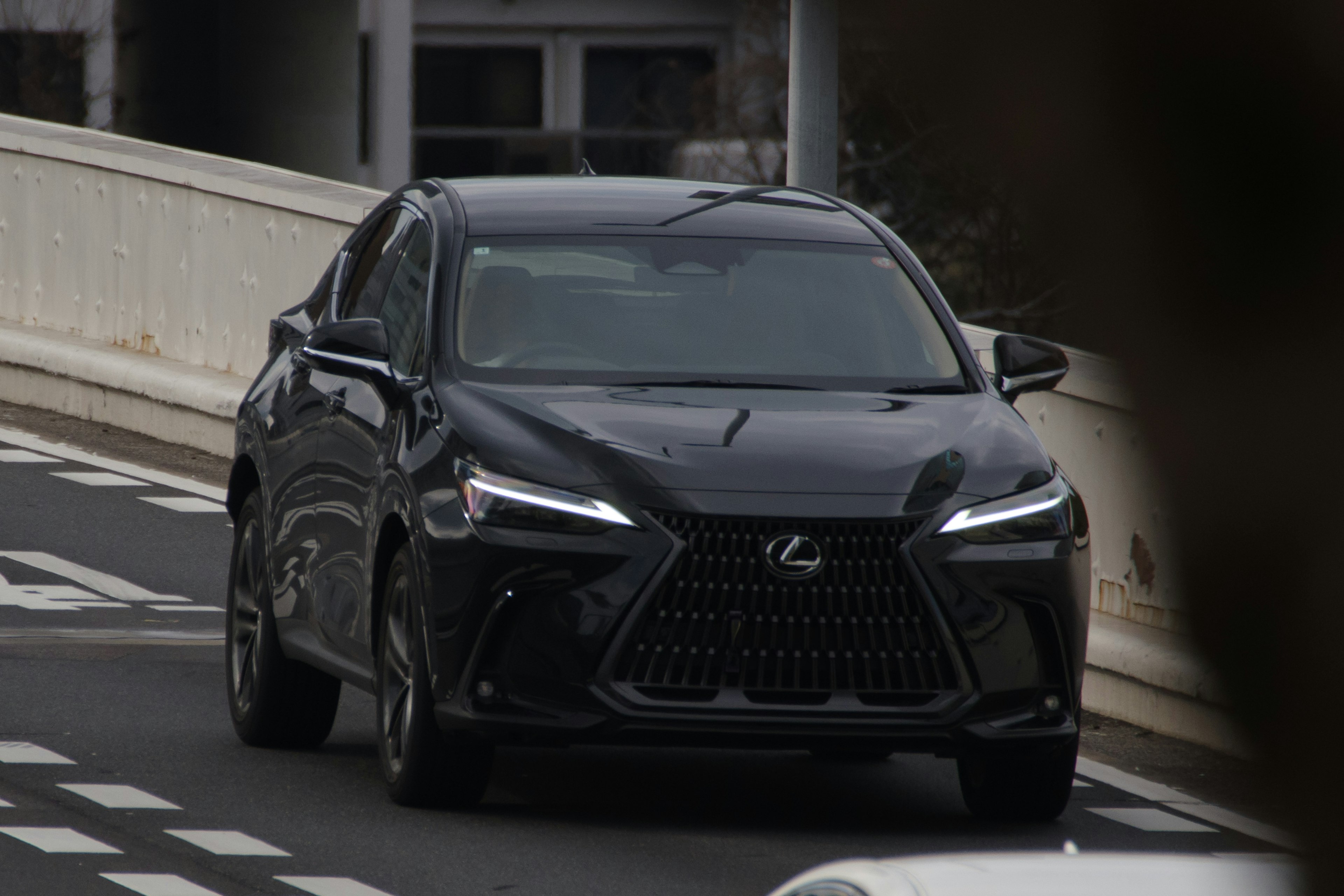 SUV negro Lexus conduciendo por la carretera