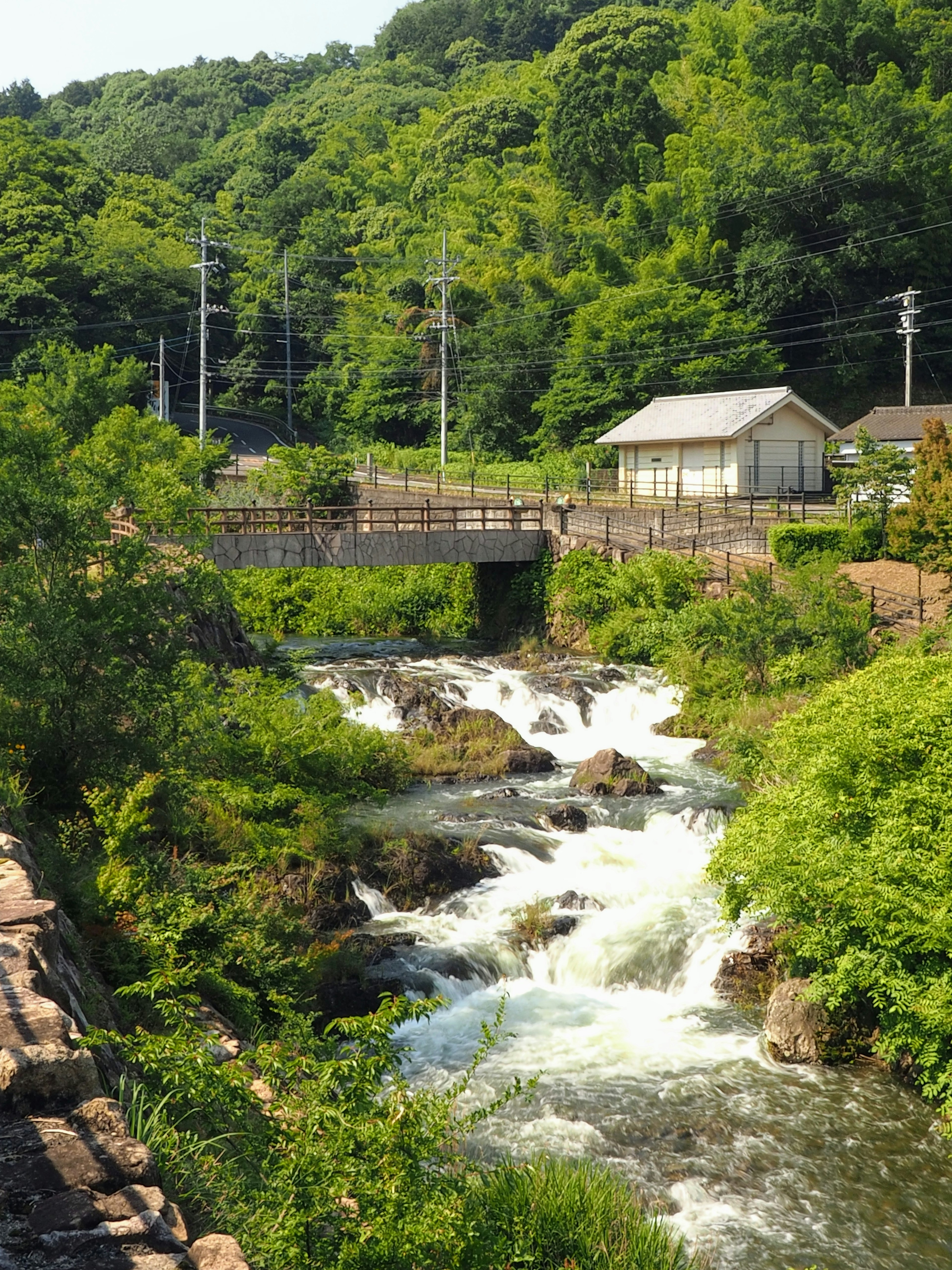 Scenic view of a river and bridge surrounded by lush green mountains