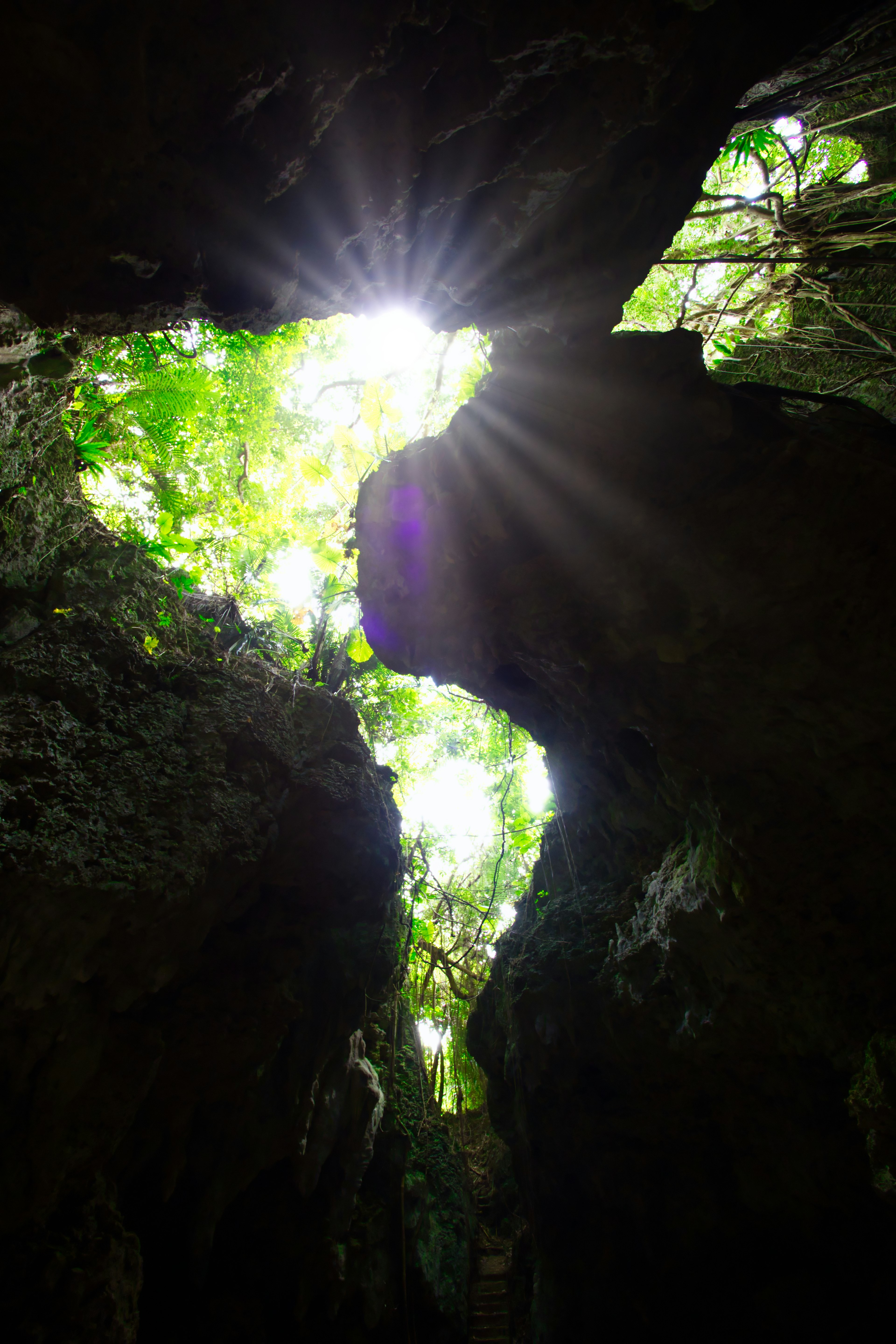 Sunlight streaming through rock formations with lush green foliage