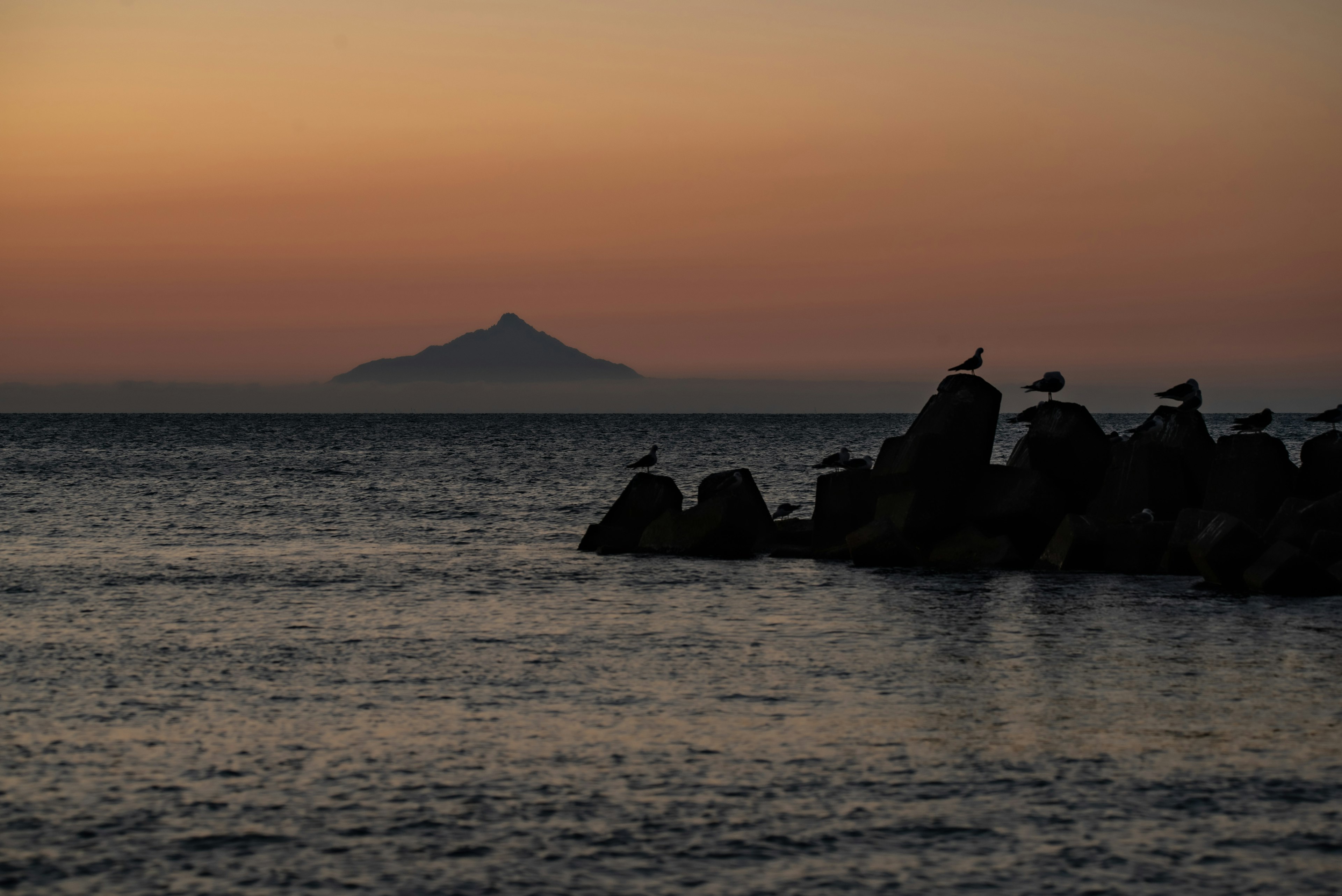 夕暮れの海と岩の上にいる鳥たちのシルエットがある風景