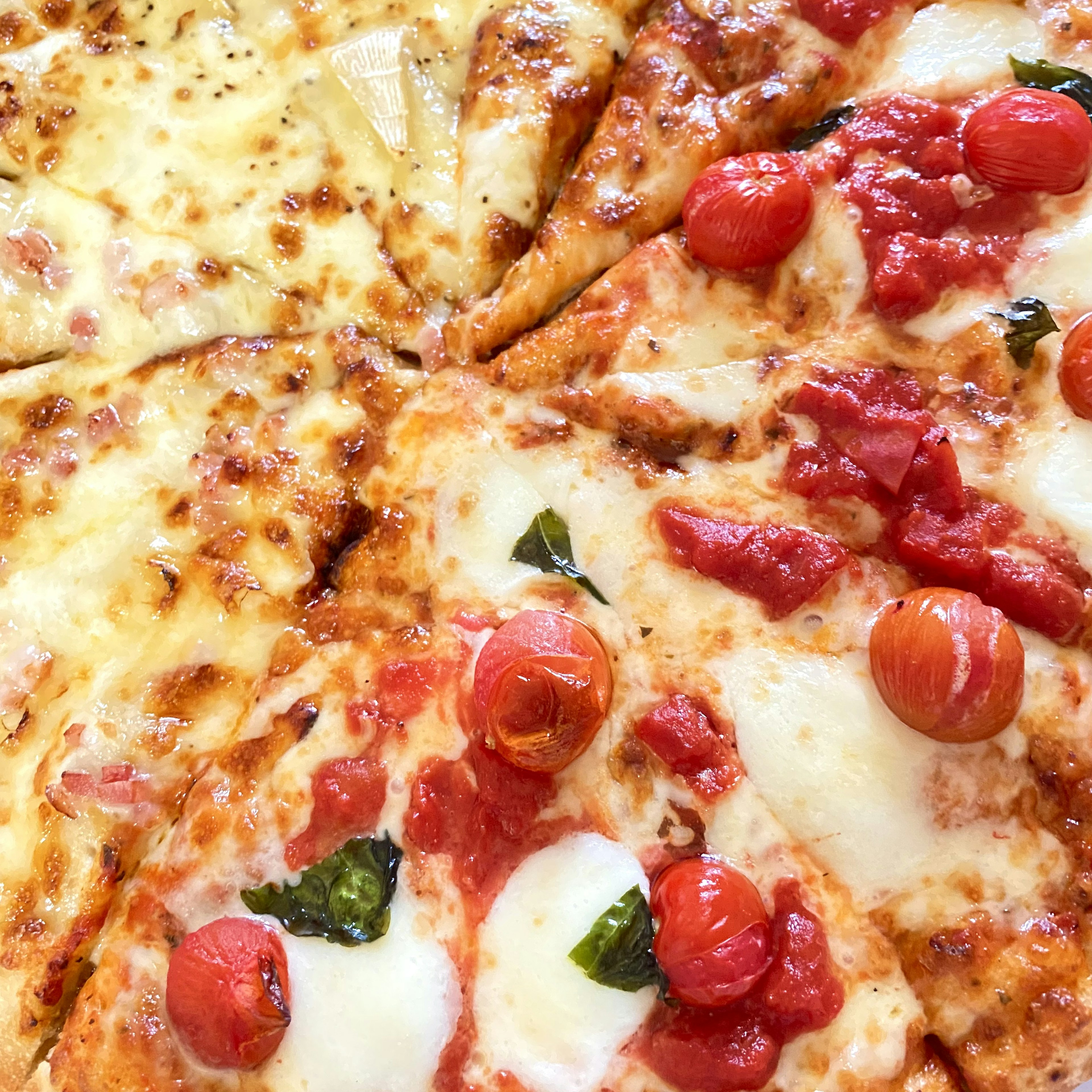 Delicious assortment of pizzas featuring cheese and tomato toppings