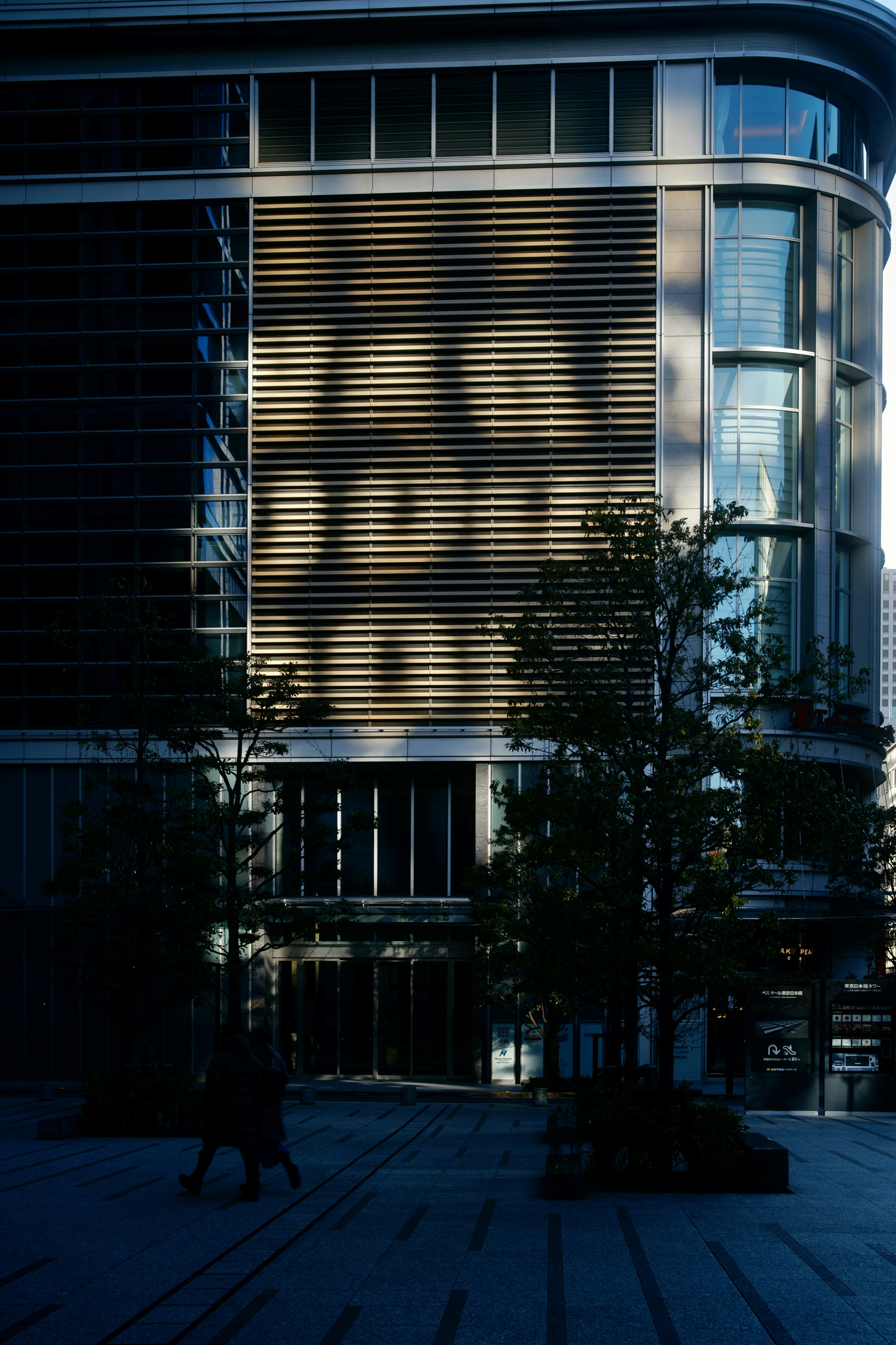 Shadow patterns on a building wall with trees in the foreground