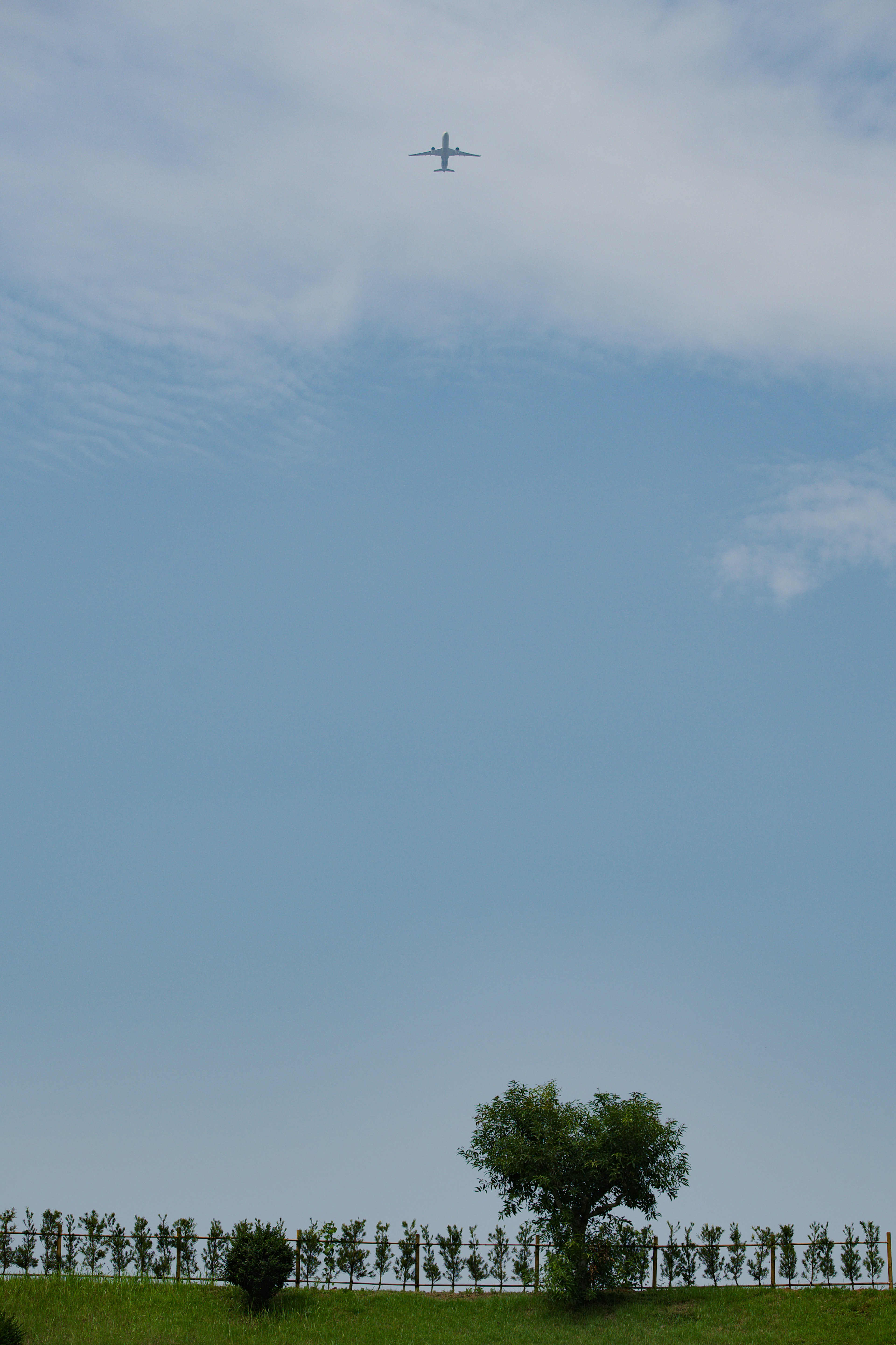 Un avión volando en el cielo azul sobre una colina verde con un árbol