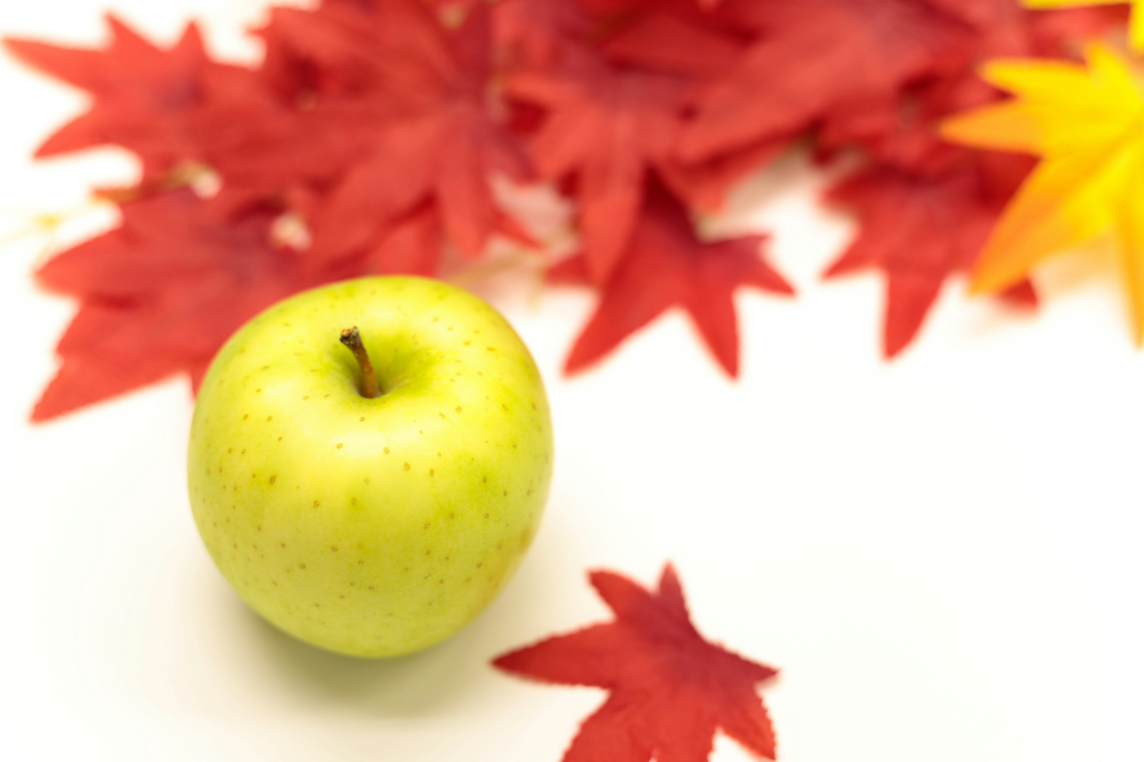 Green apple on a background of red and yellow leaves