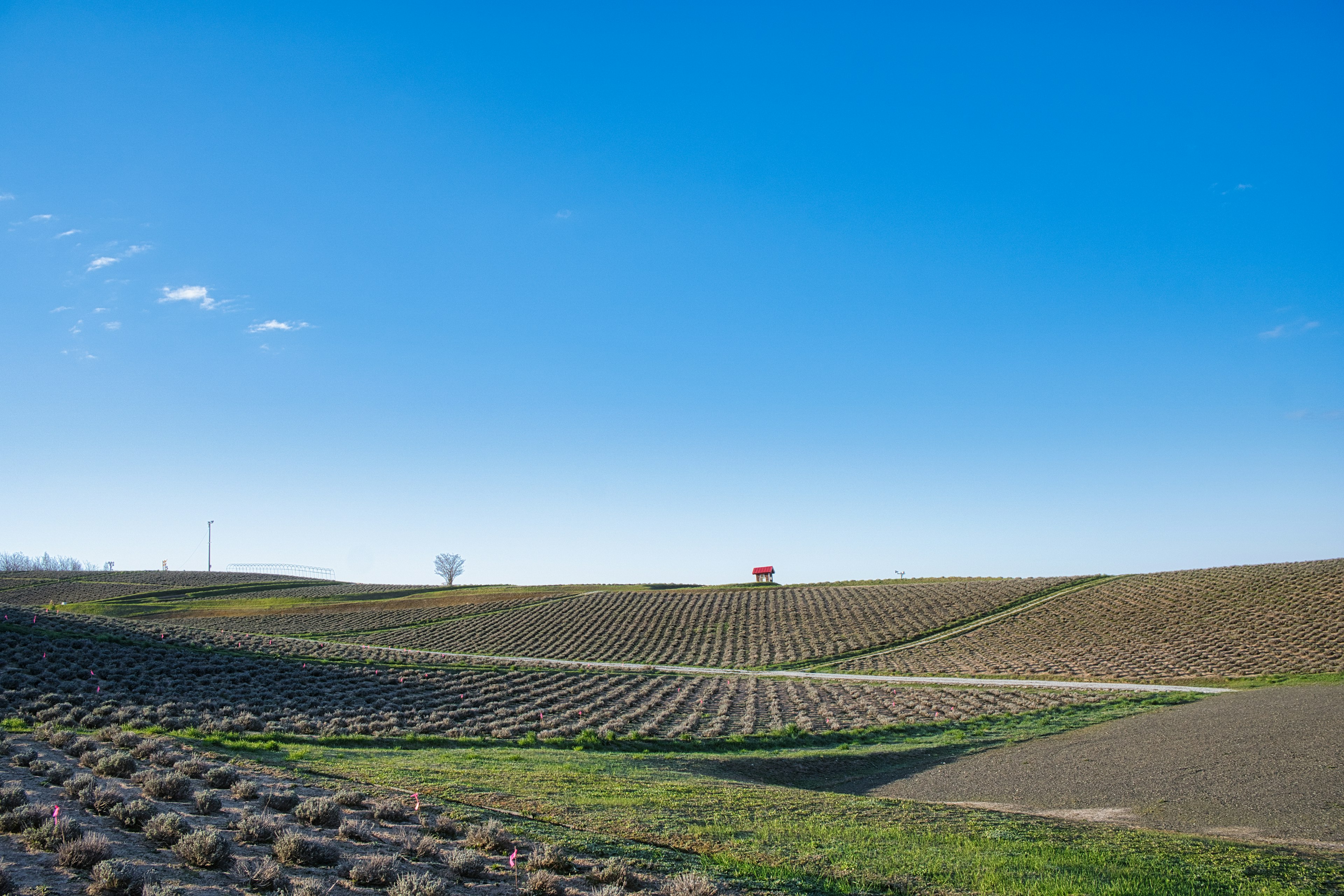 Paisaje con campos ondulados y colinas verdes bajo un cielo azul