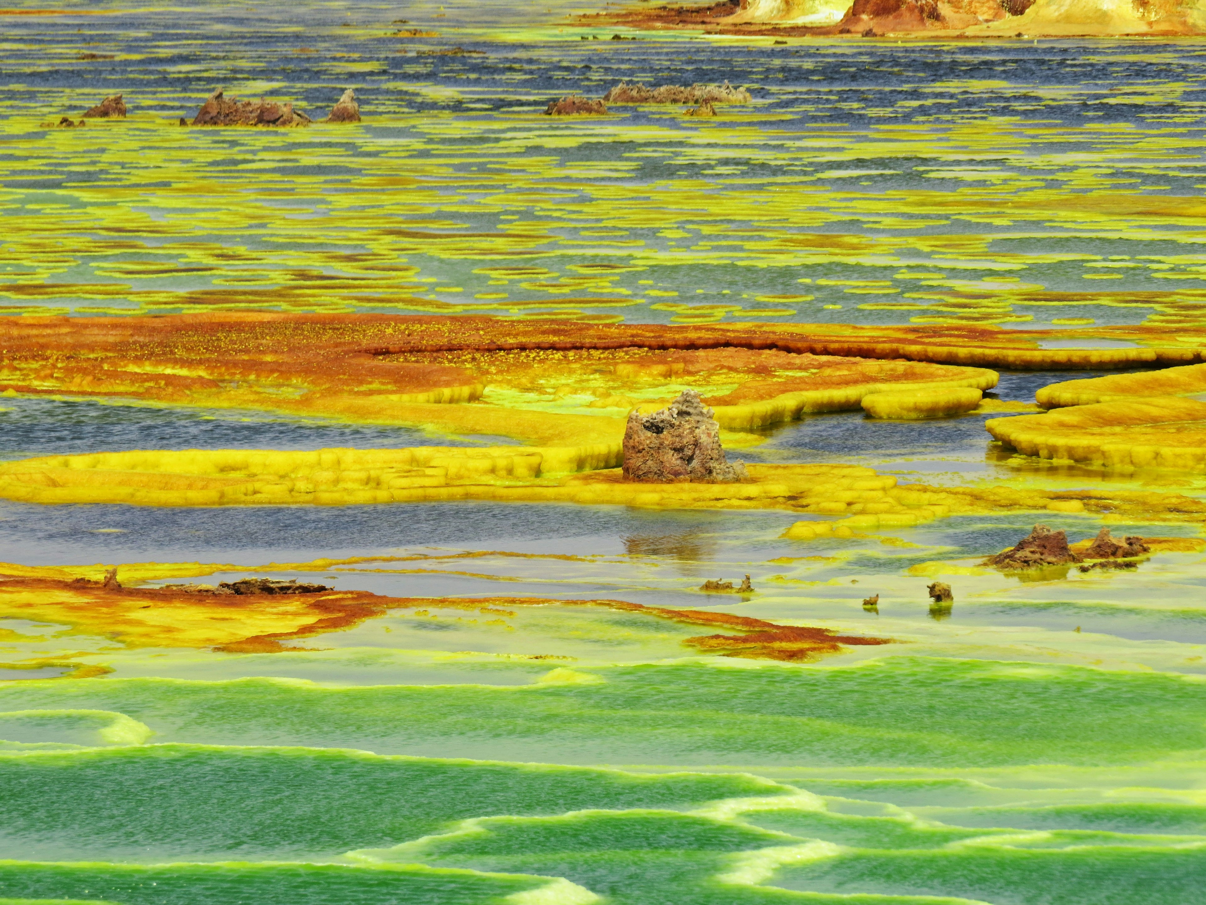 Paisaje vibrante con cuerpos de agua amarillos y verdes