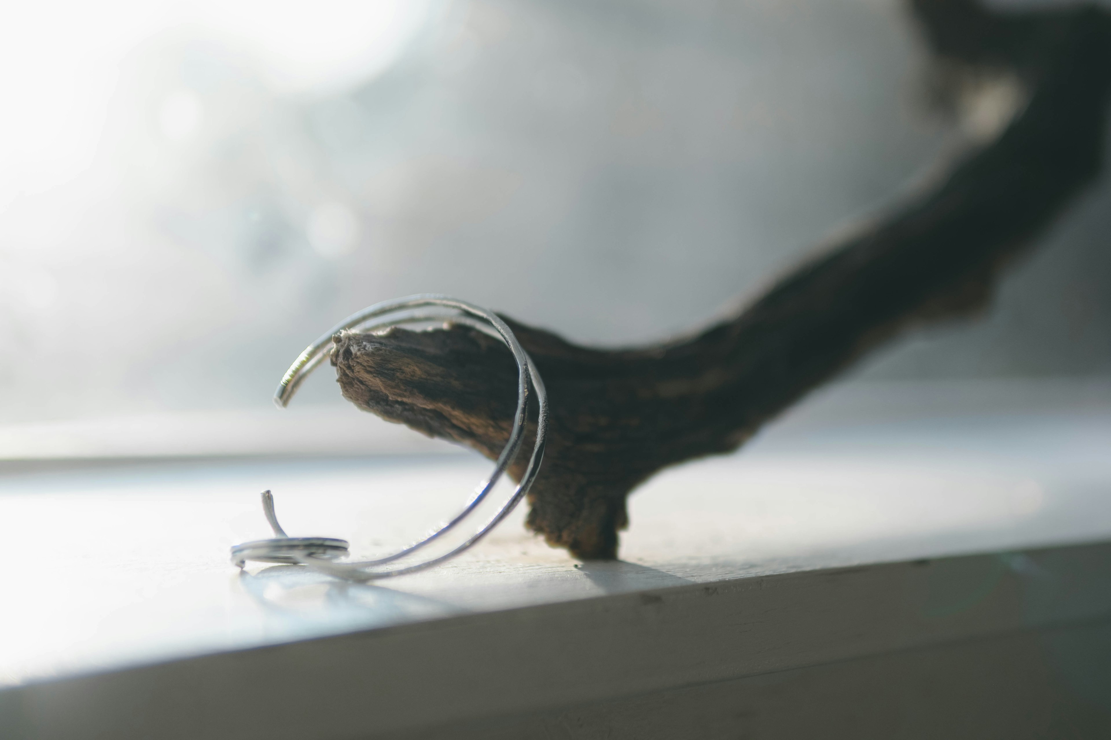 Une bague en argent et une petite boucle d'oreille posées sur une branche en bois