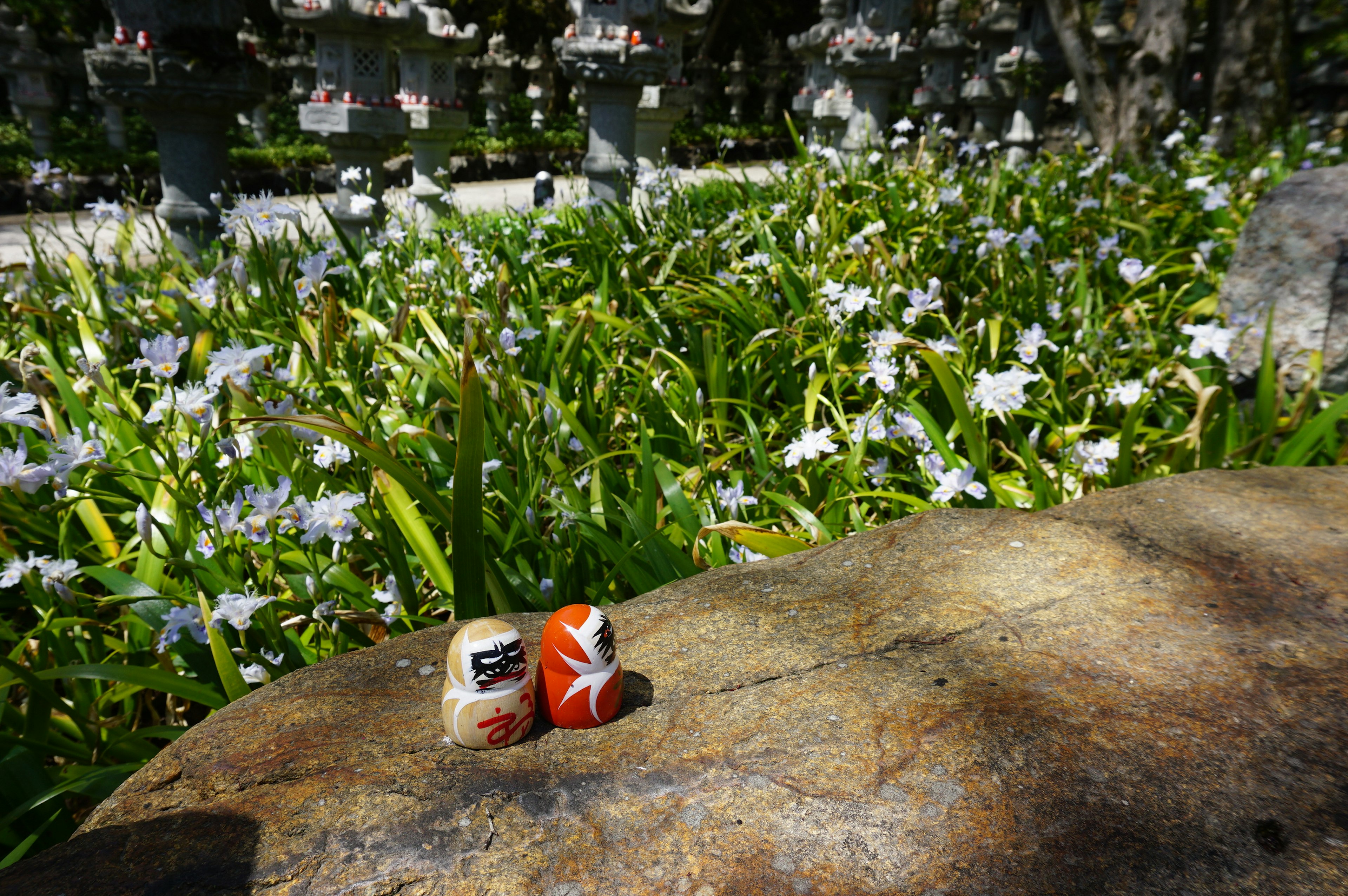 Due lattine appoggiate su una pietra in un parco lussureggiante con fiori in fiore