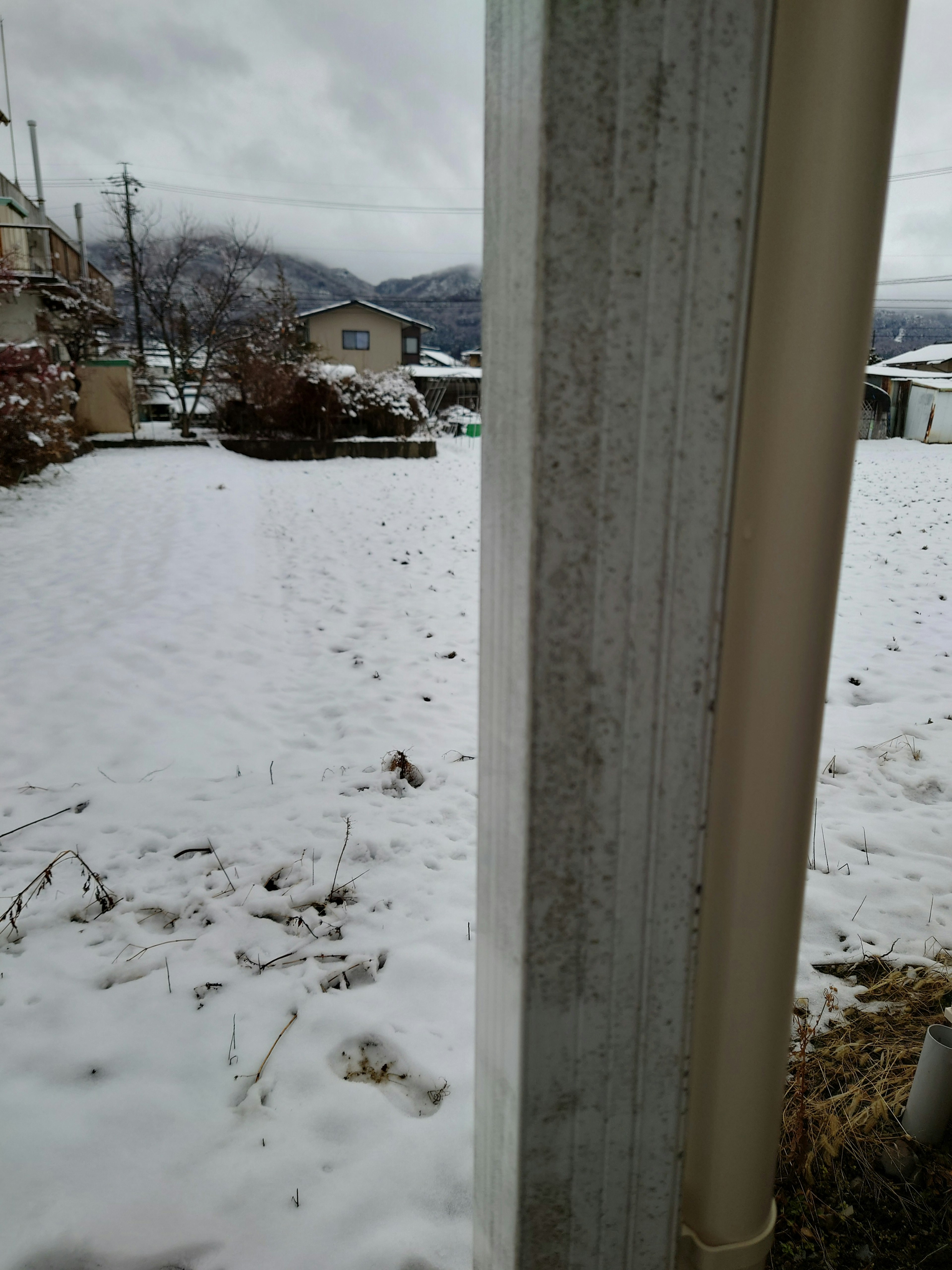 Snow-covered garden landscape with a visible building column