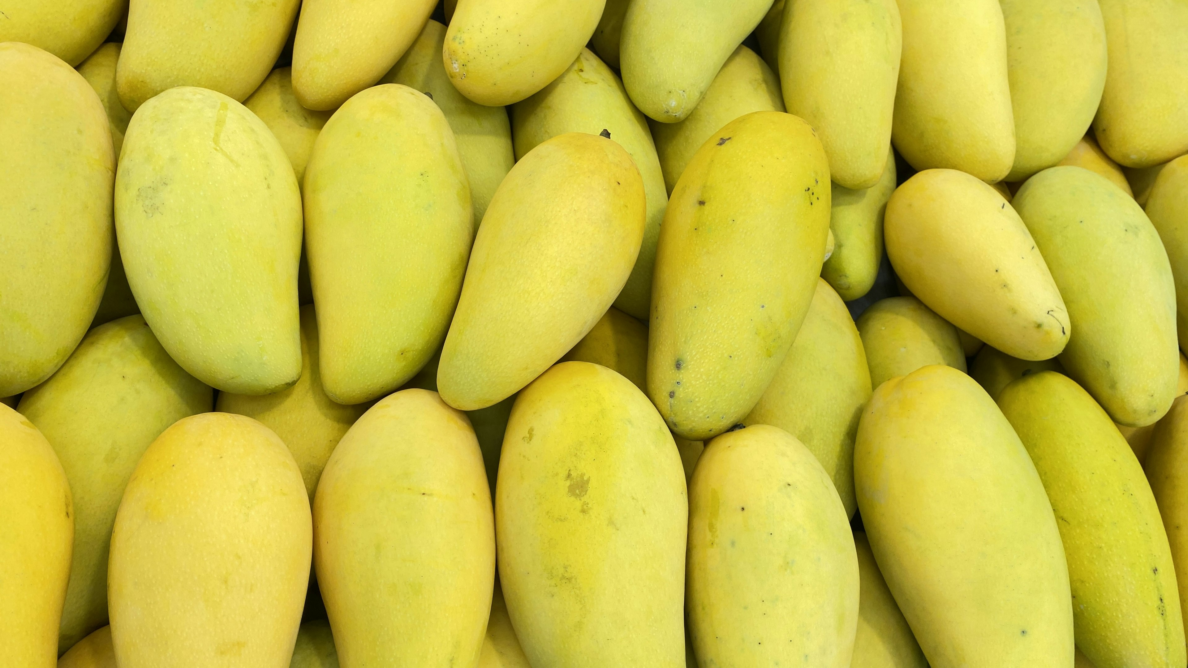 Une collection de mangues jaunes disposées côte à côte