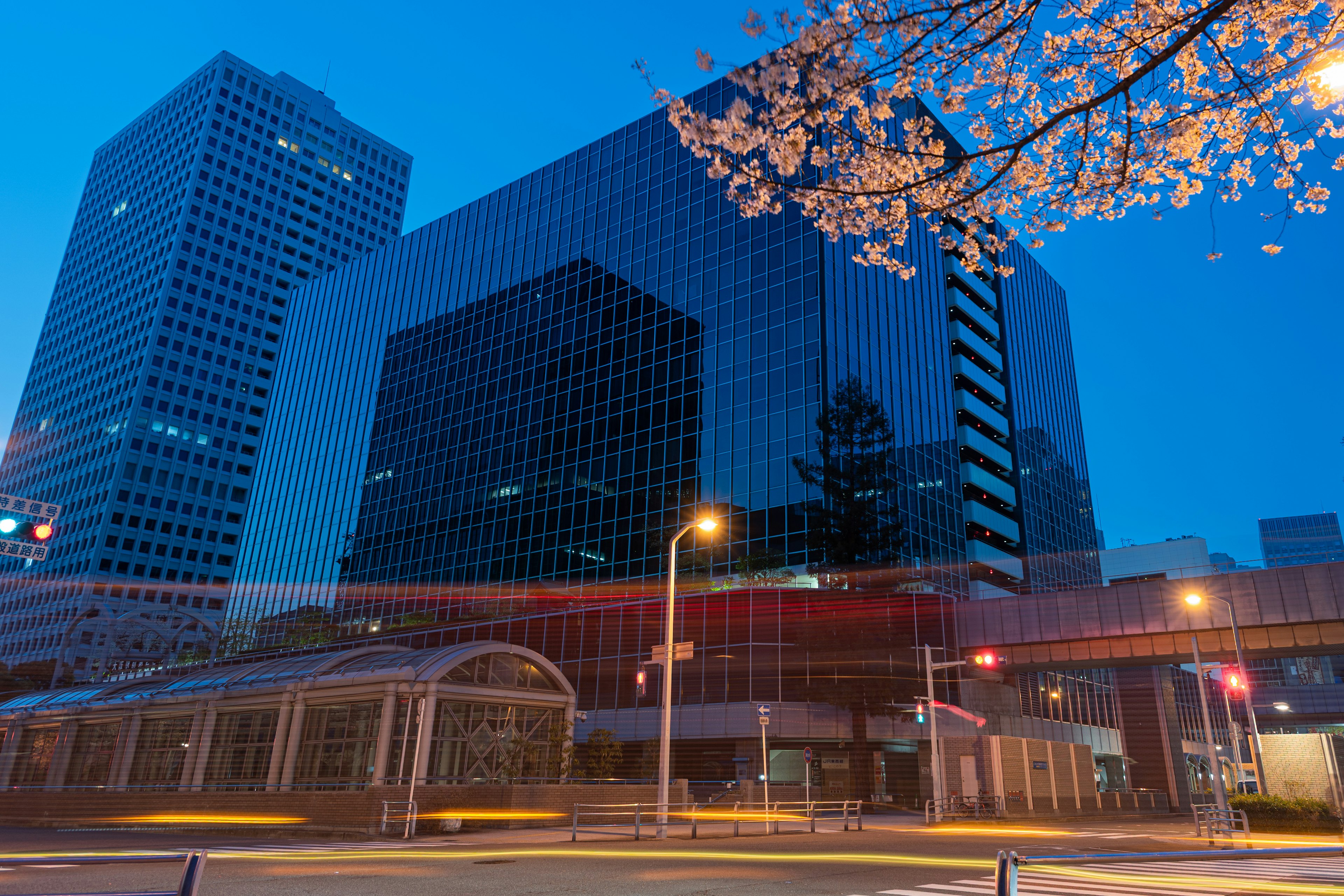 Edificios altos iluminados por la noche con flores de cerezo en primer plano
