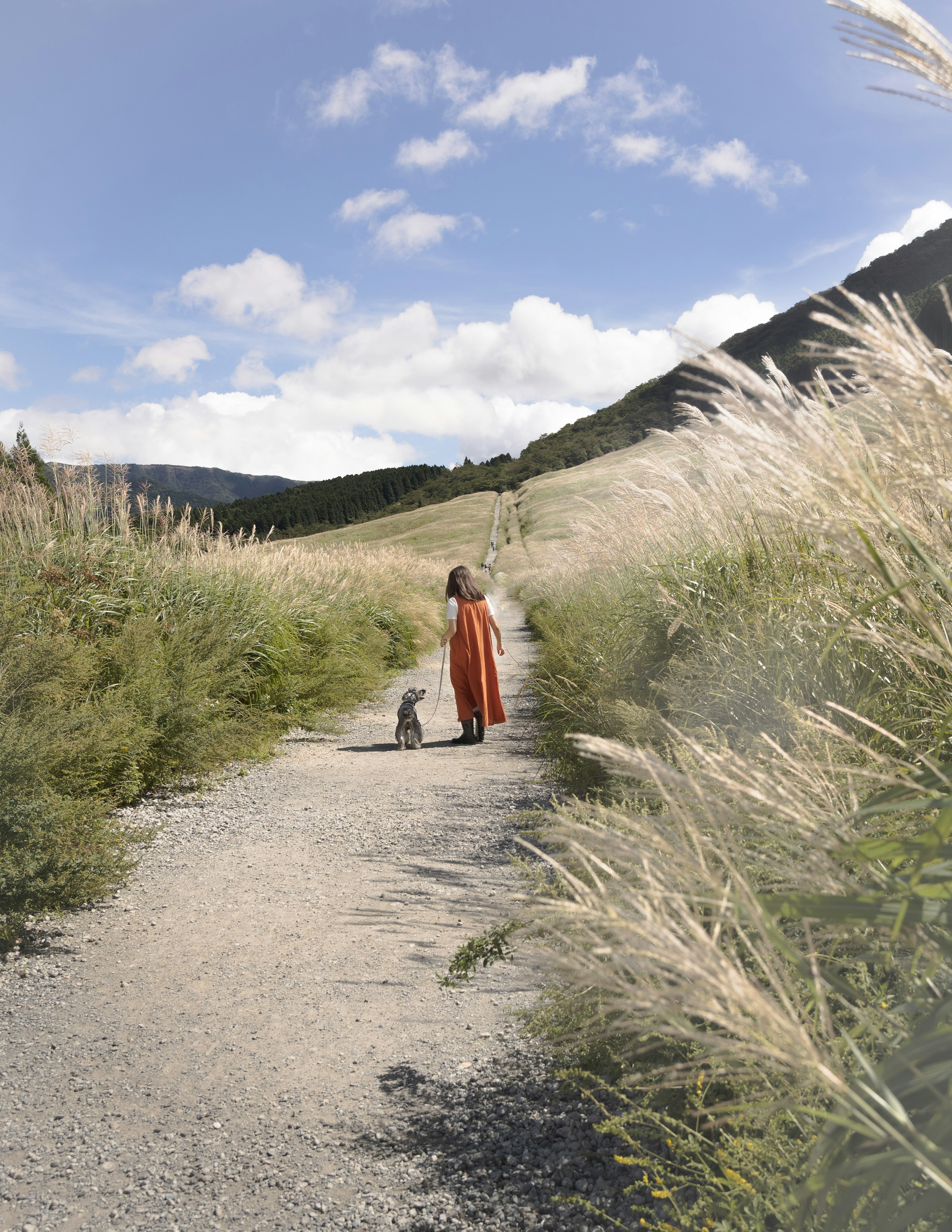 A woman in an orange dress walking a dog along a scenic pathway