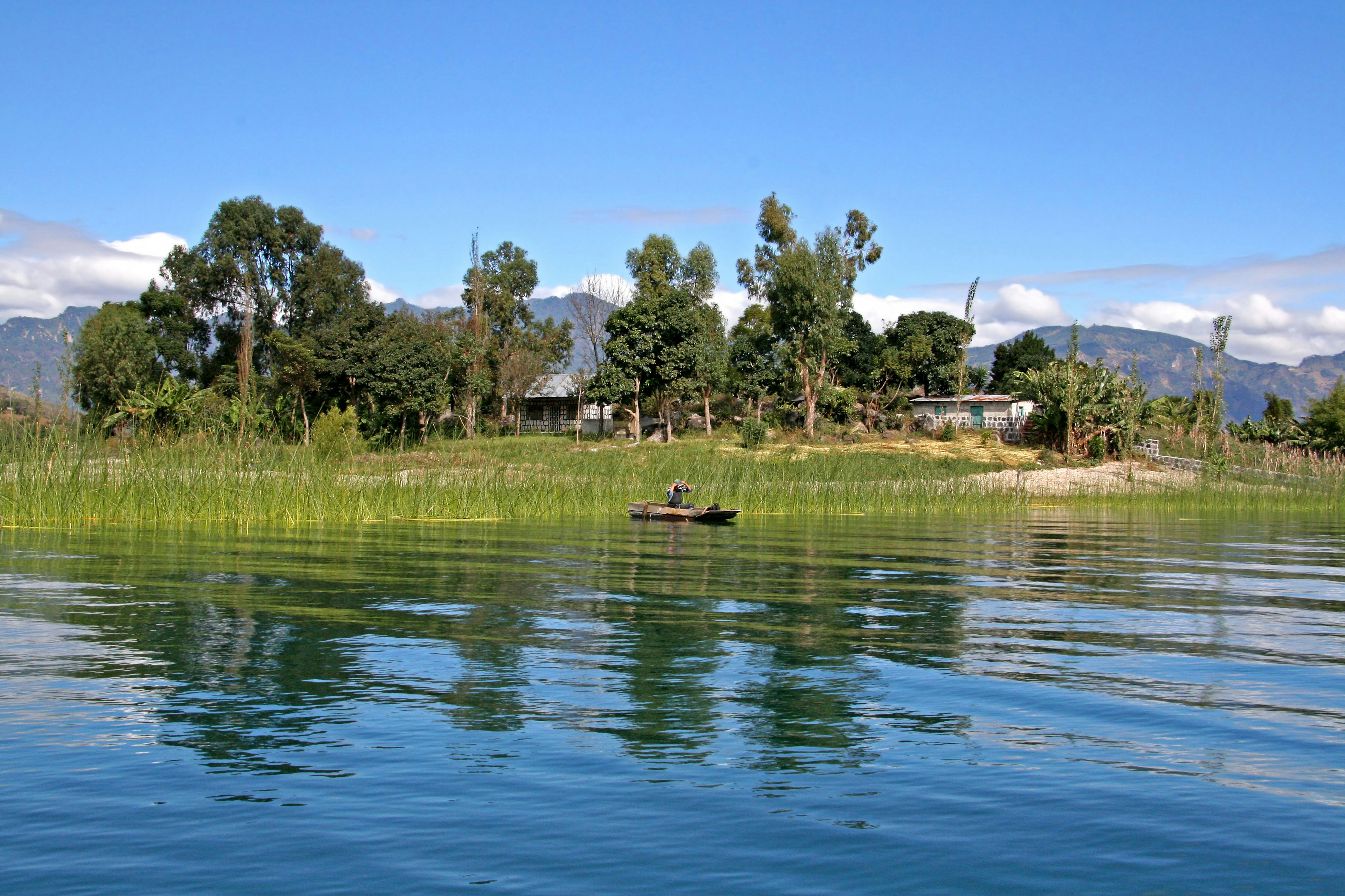 Malersicher Blick auf eine grüne Insel in der Nähe eines Sees mit ruhigem Wasser