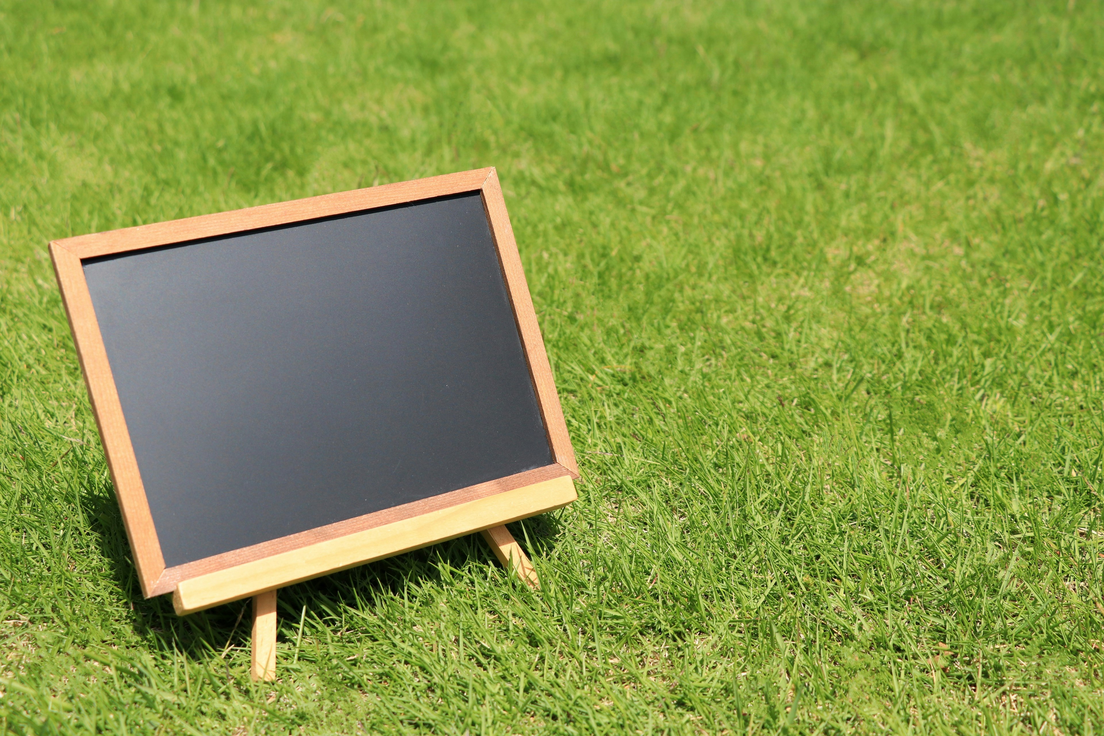 Wooden blackboard leaning on green grass