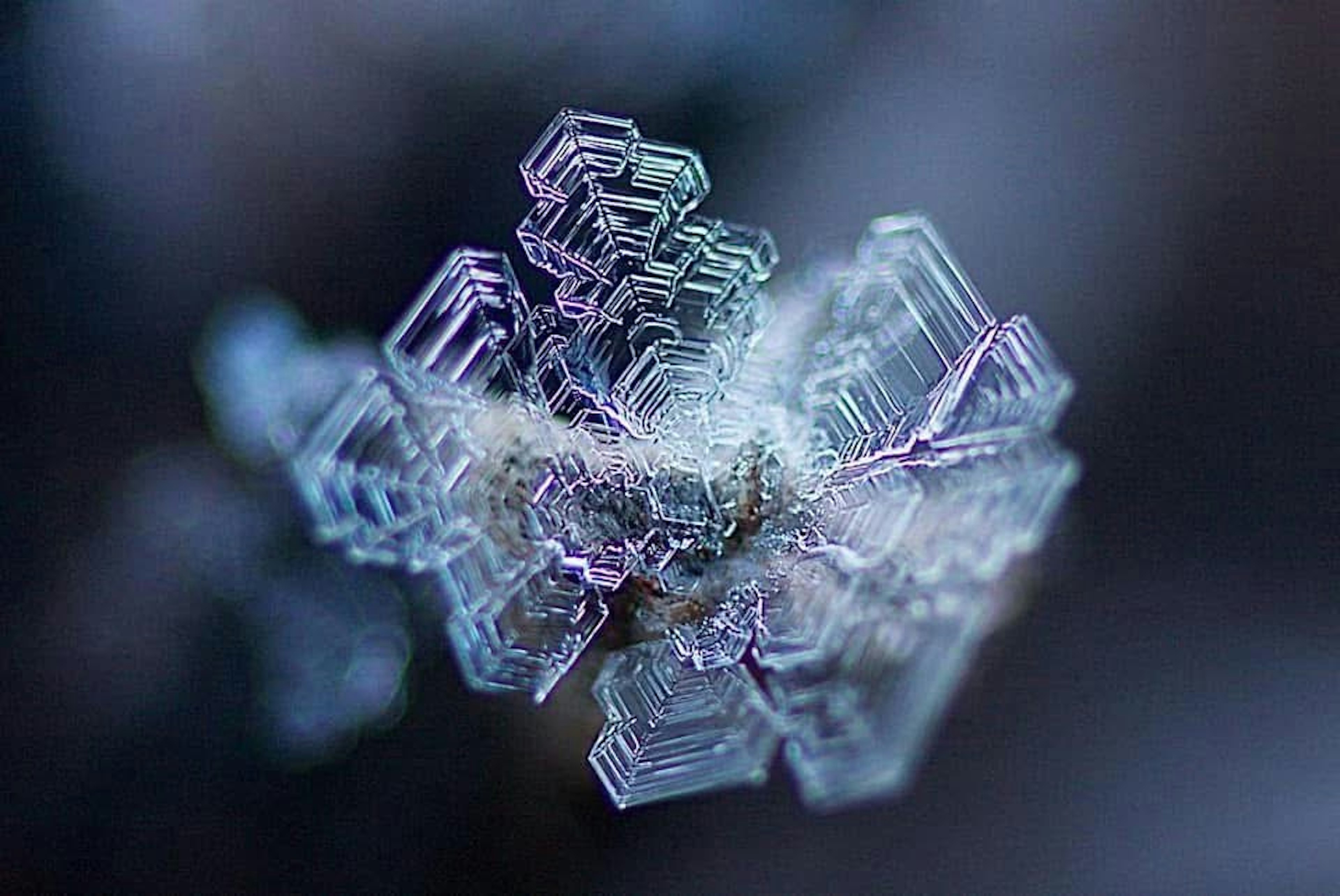 Close-up image of a beautiful snowflake