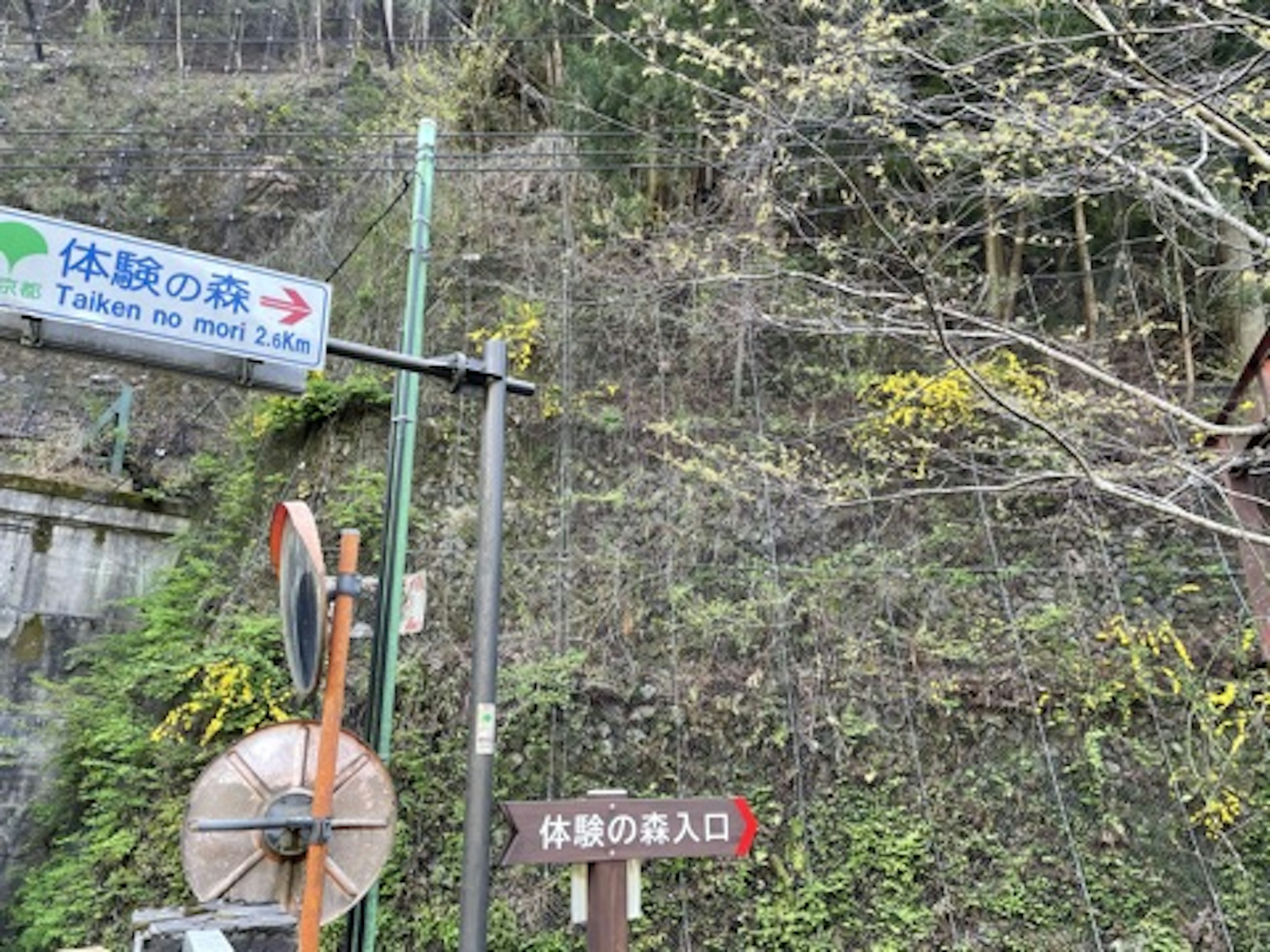 Landschaftsansicht mit Wegweisern an einem grünen Hang