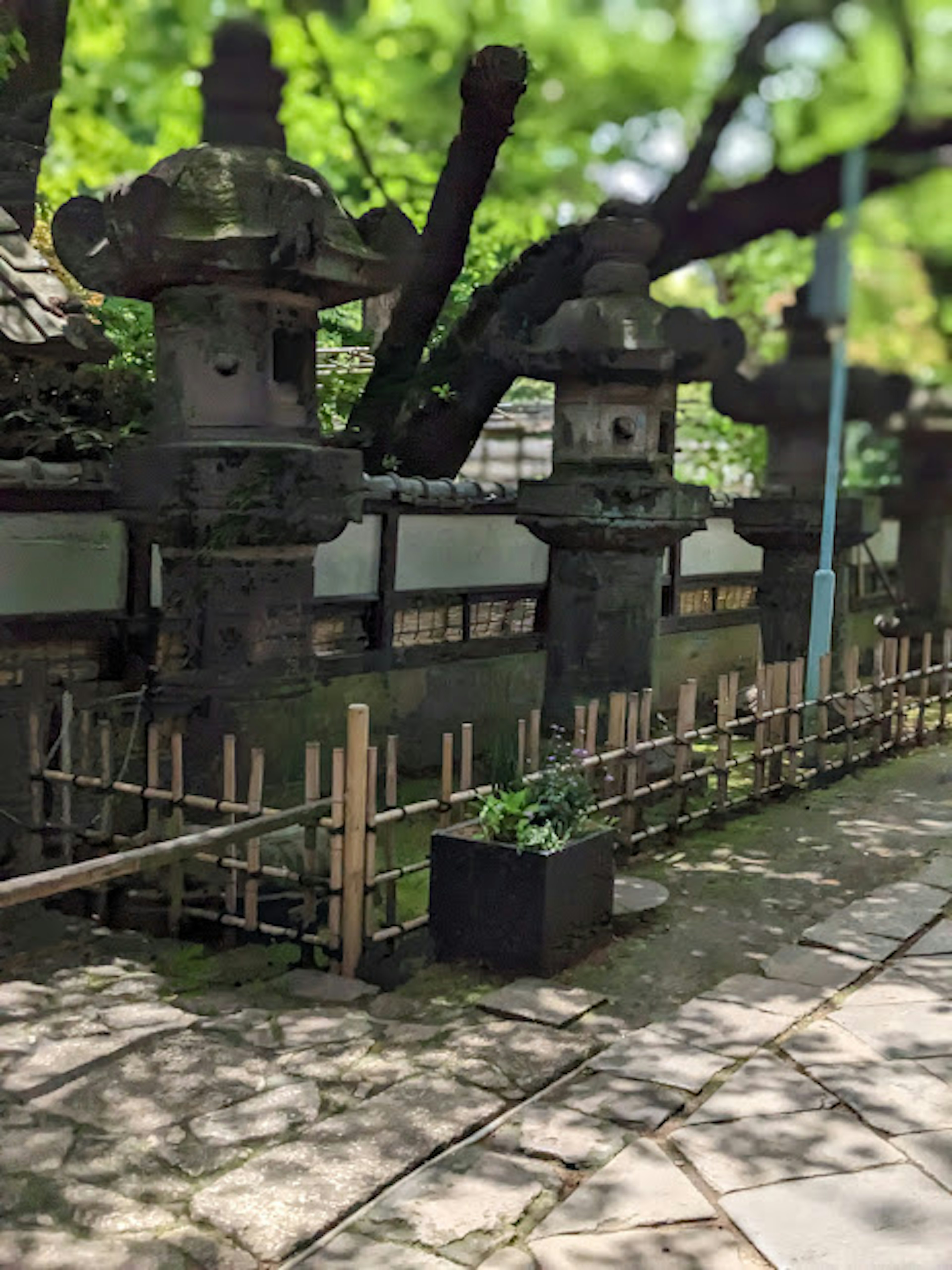 Escena de jardín japonés con faroles de piedra y cerca de bambú