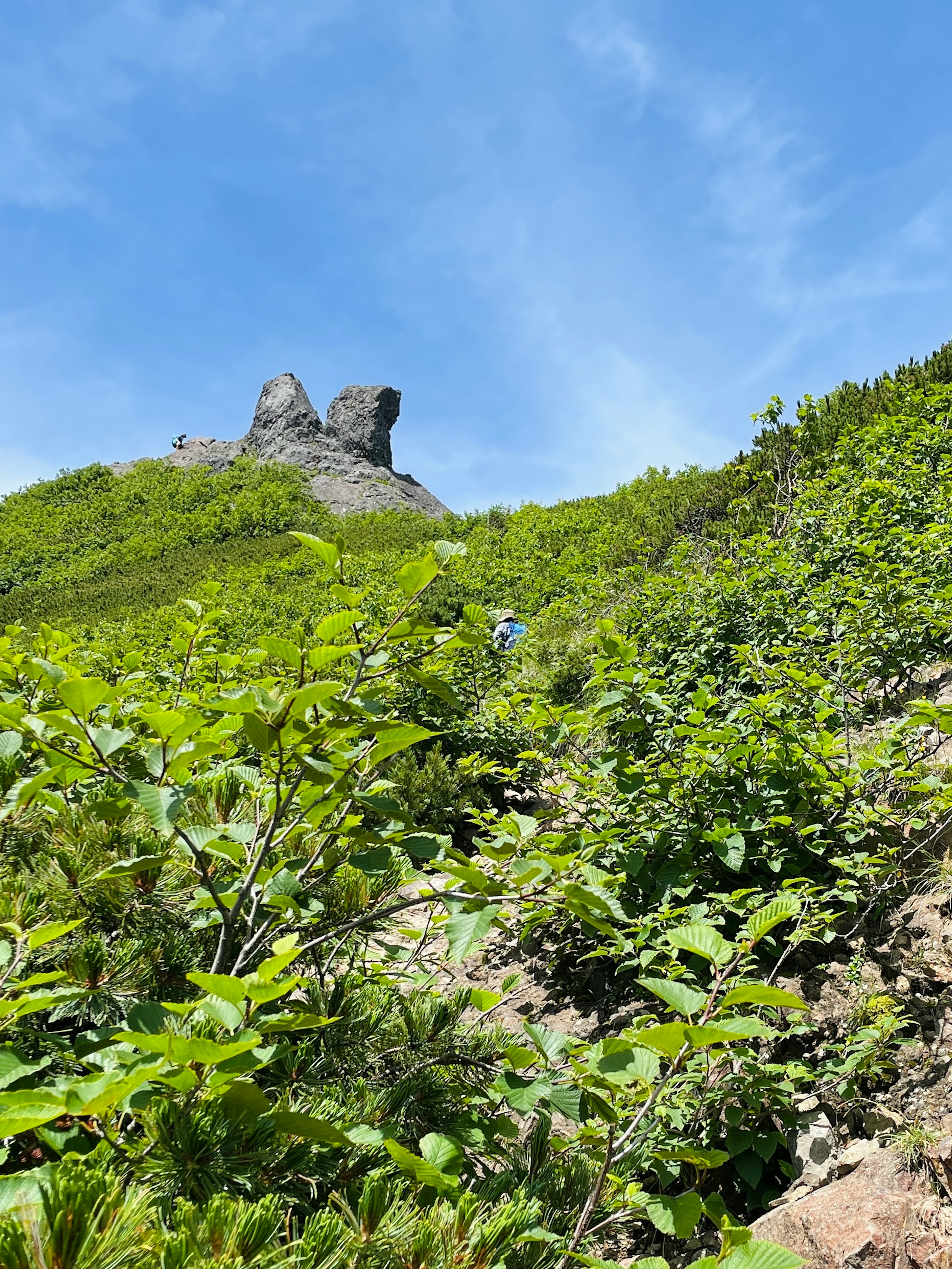 緑豊かな植物と青空を背景にした山の風景と岩の形成