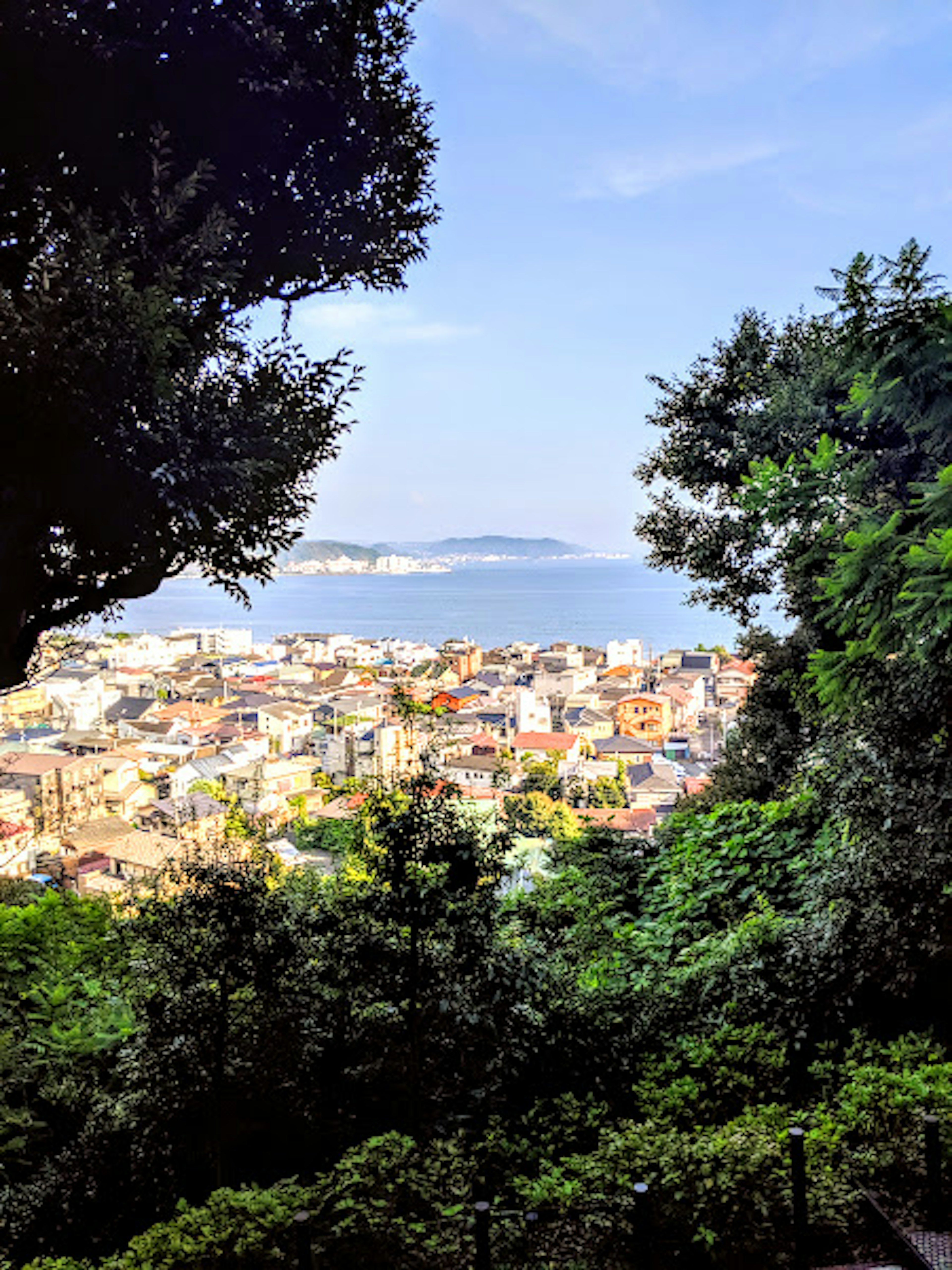 Una vista de una ciudad rodeada de vegetación con el mar al fondo