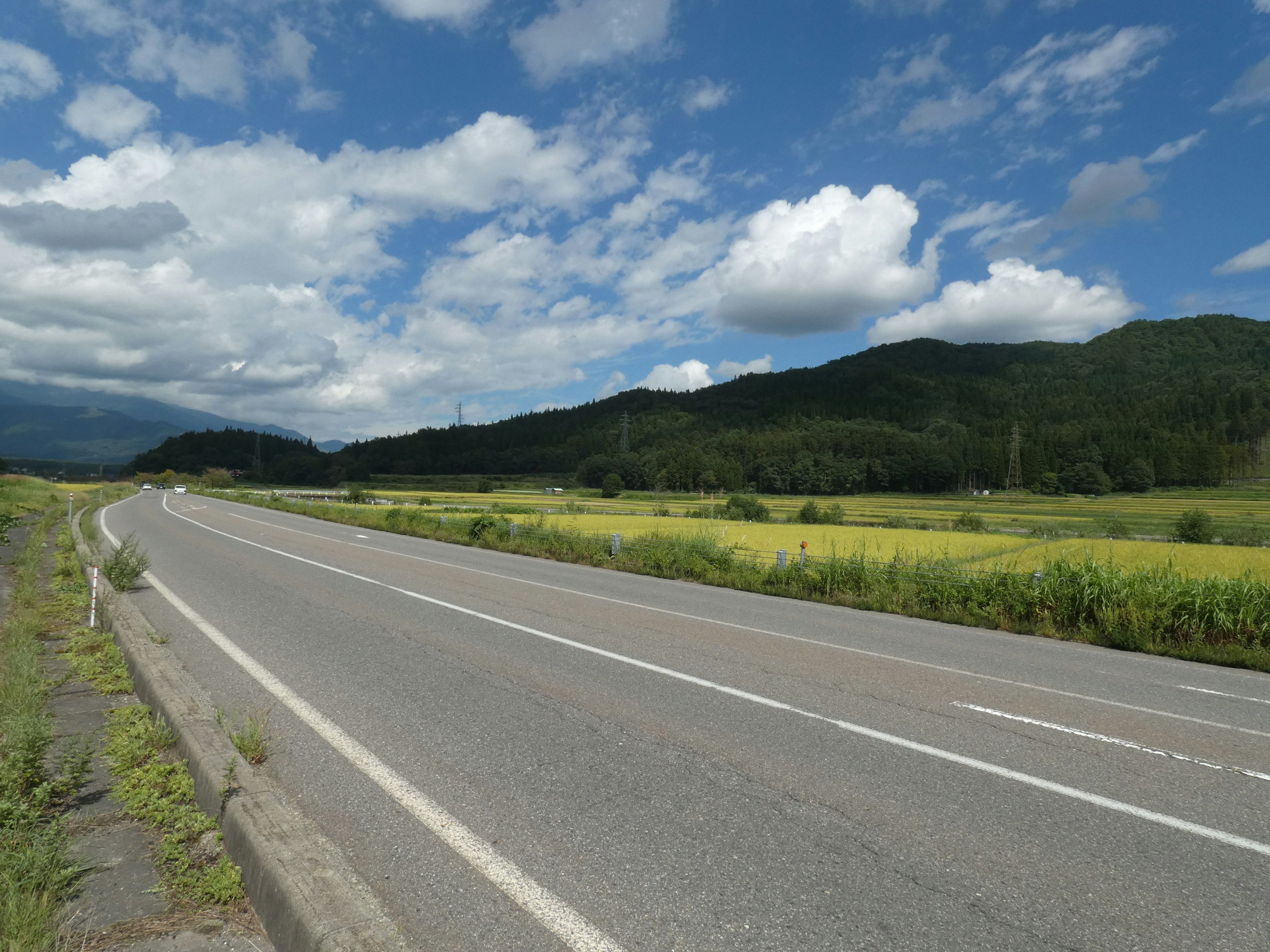 Jalan pedesaan dikelilingi langit biru dan awan putih dengan ladang padi hijau dan gunung di latar belakang