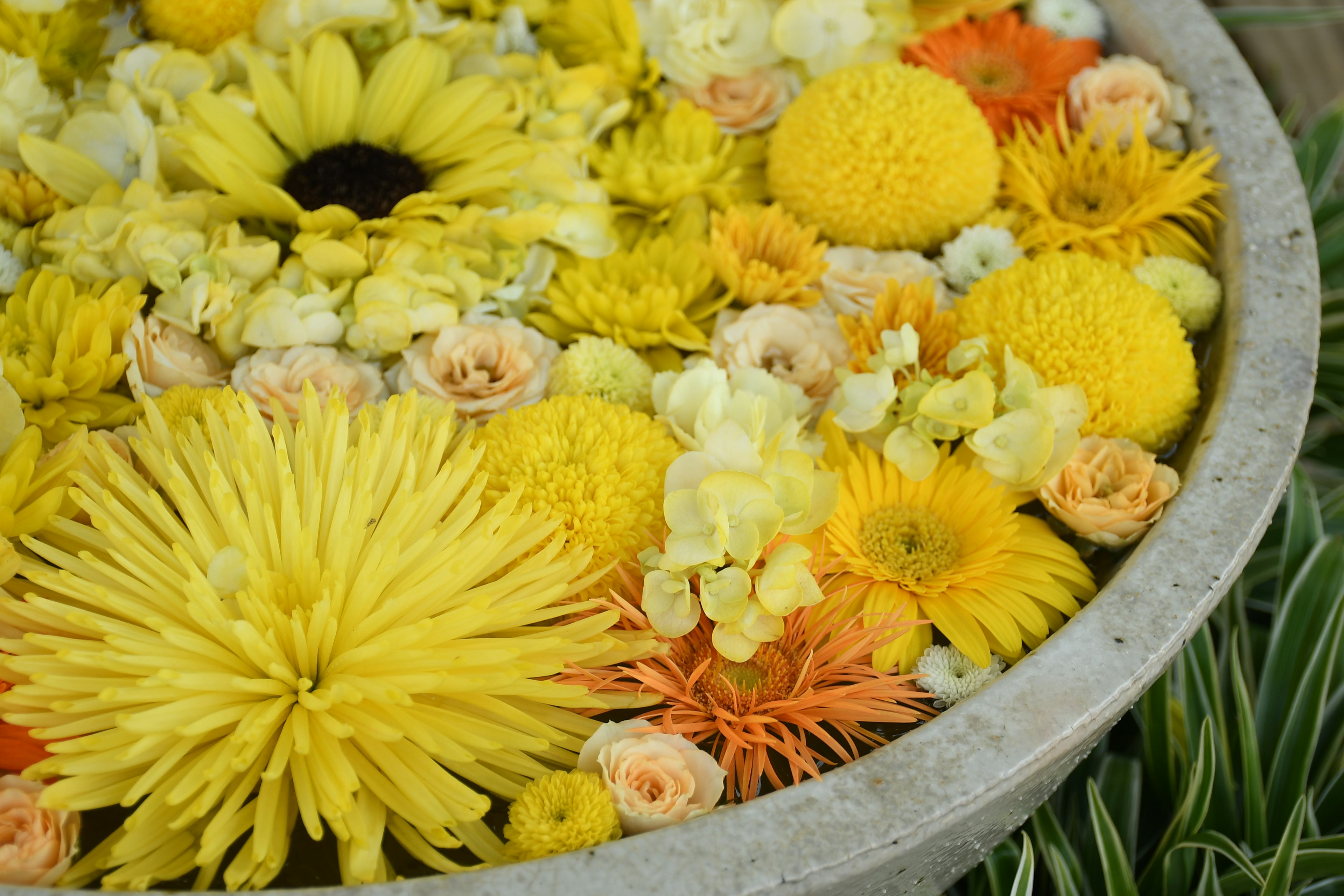 Un tazón redondo lleno de flores amarillas y naranjas vibrantes