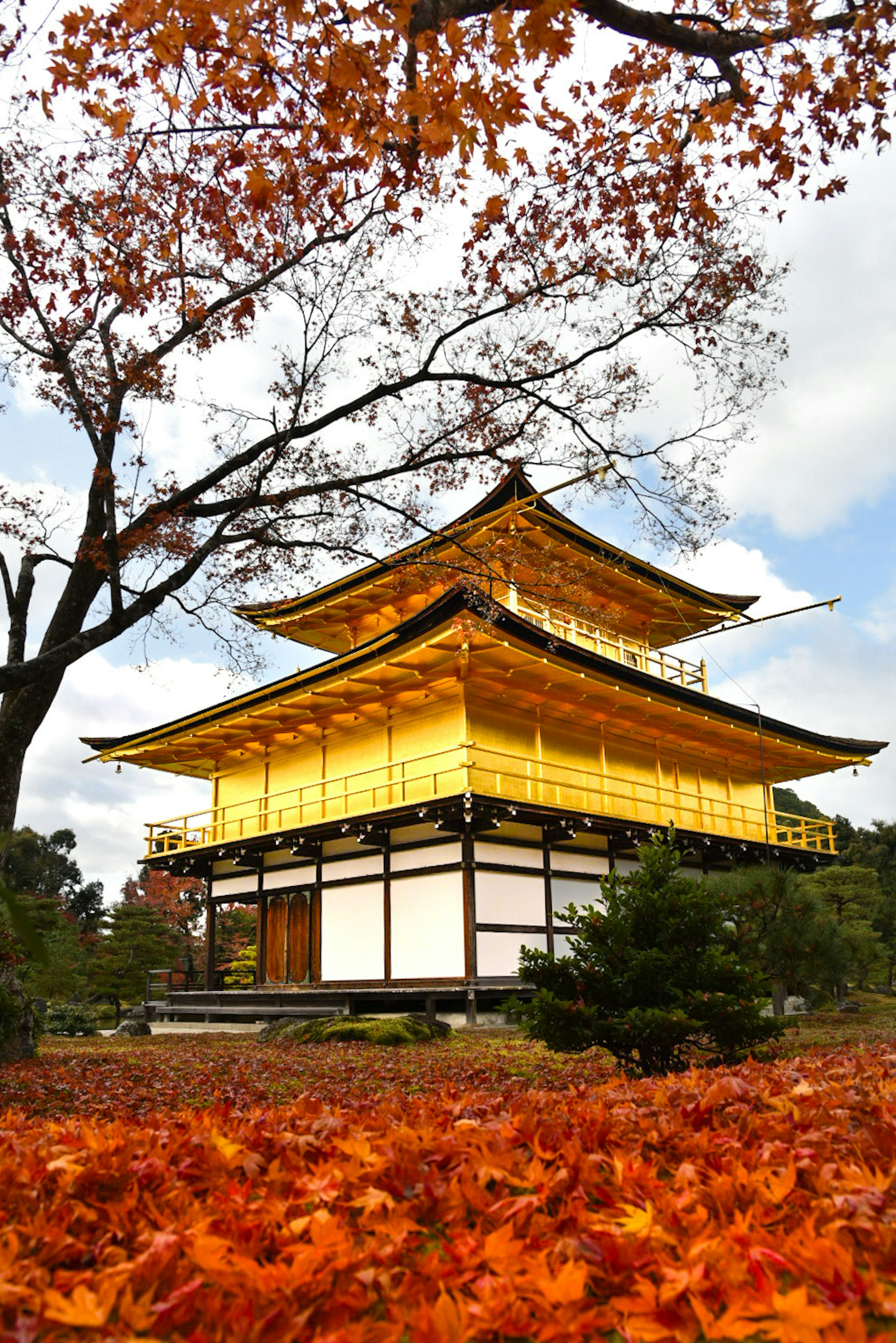 Kinkaku-ji vào mùa thu với hành lang vàng và lá đầy màu sắc