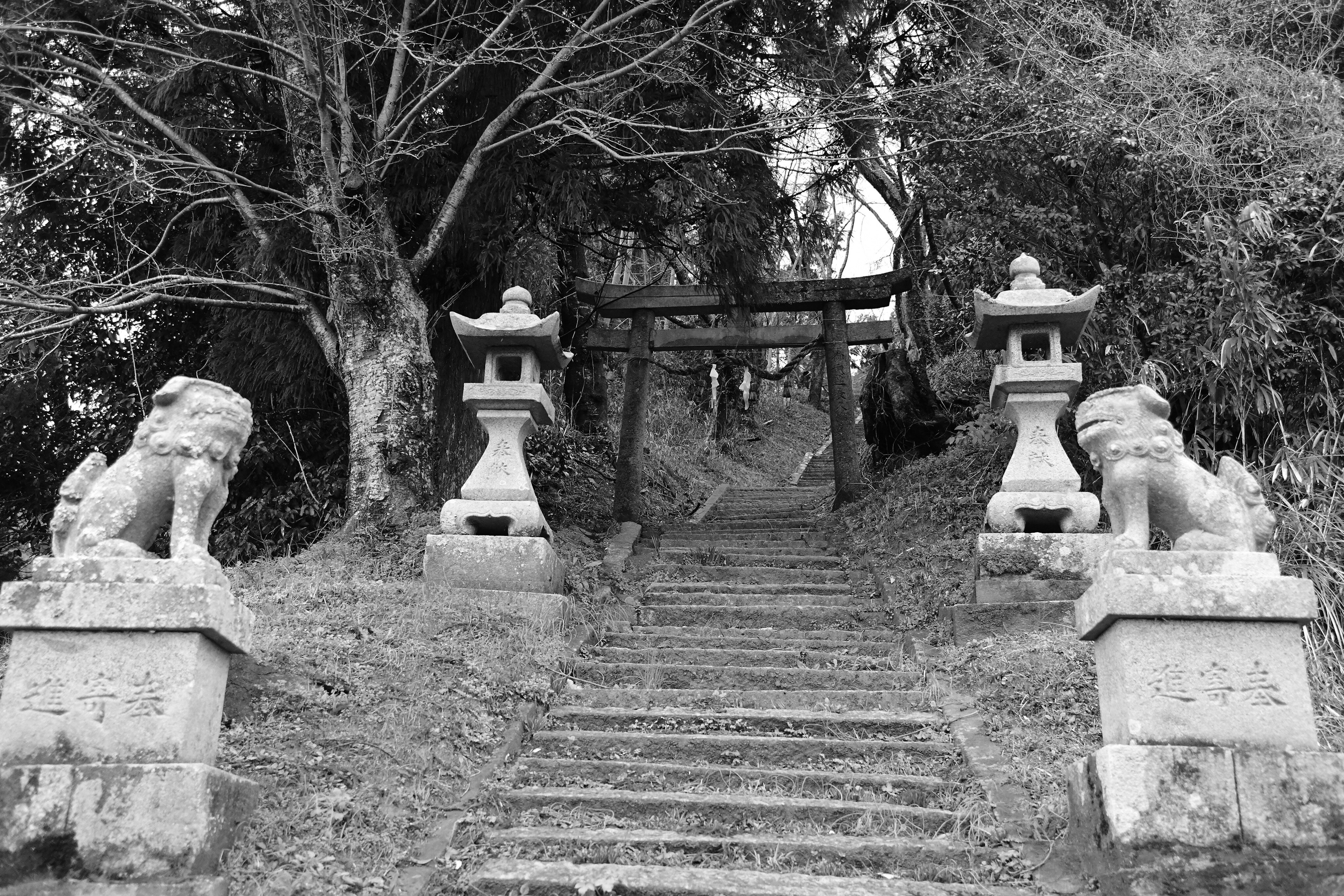 Steinlöwen, die Treppen zu einem Torii flankieren