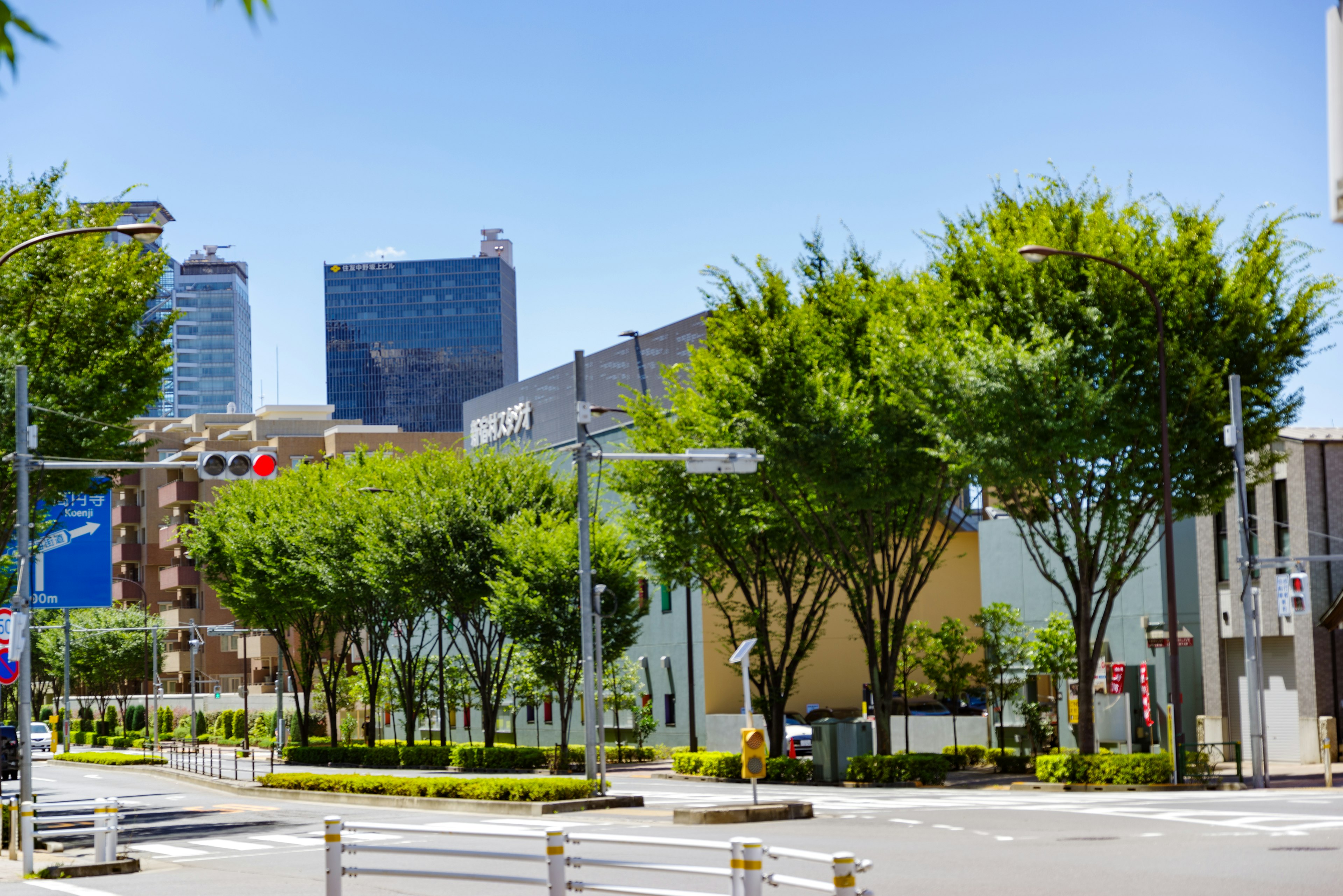 Cityscape featuring trees and modern buildings under a clear blue sky