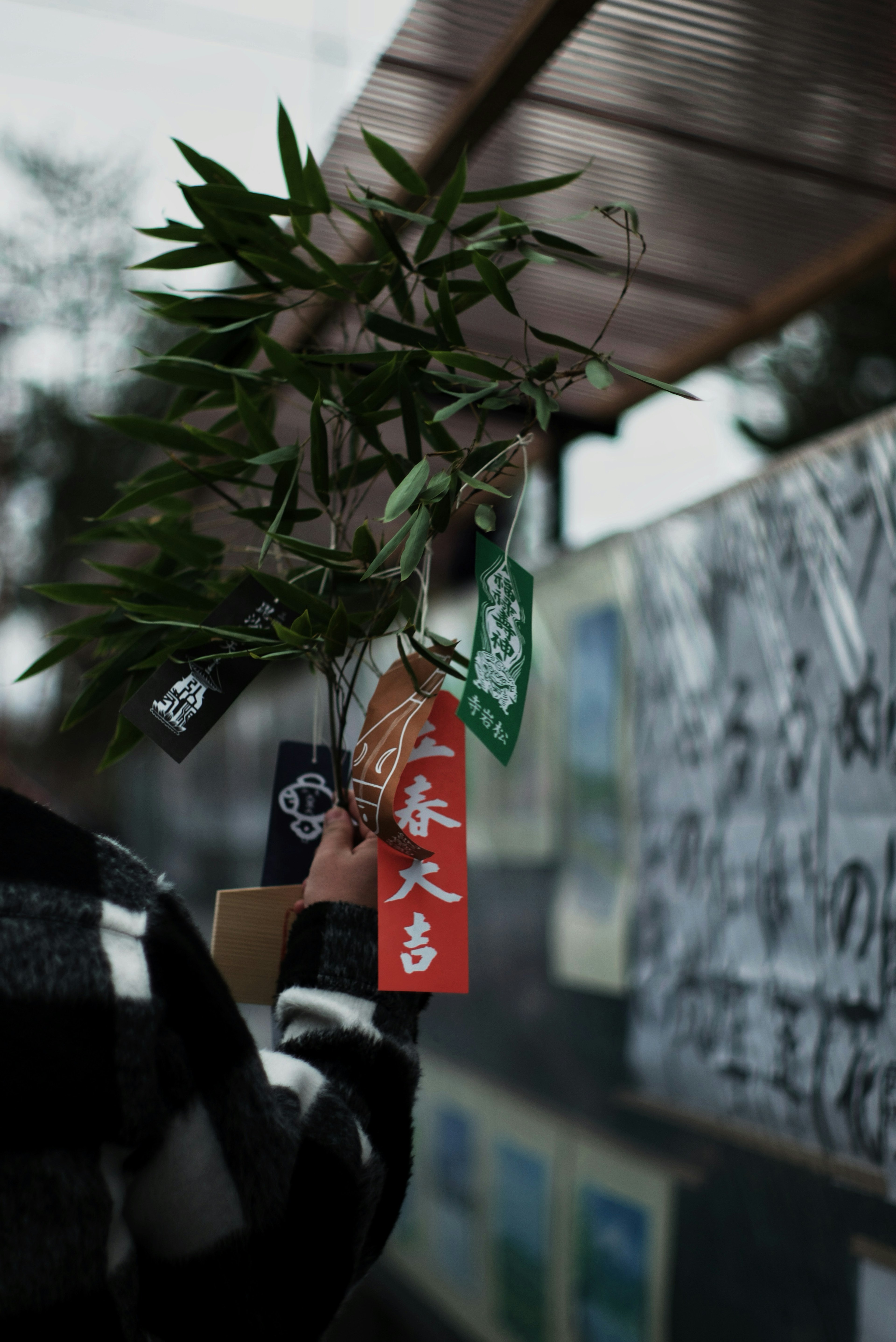 A hand holding a bamboo branch adorned with colorful tags