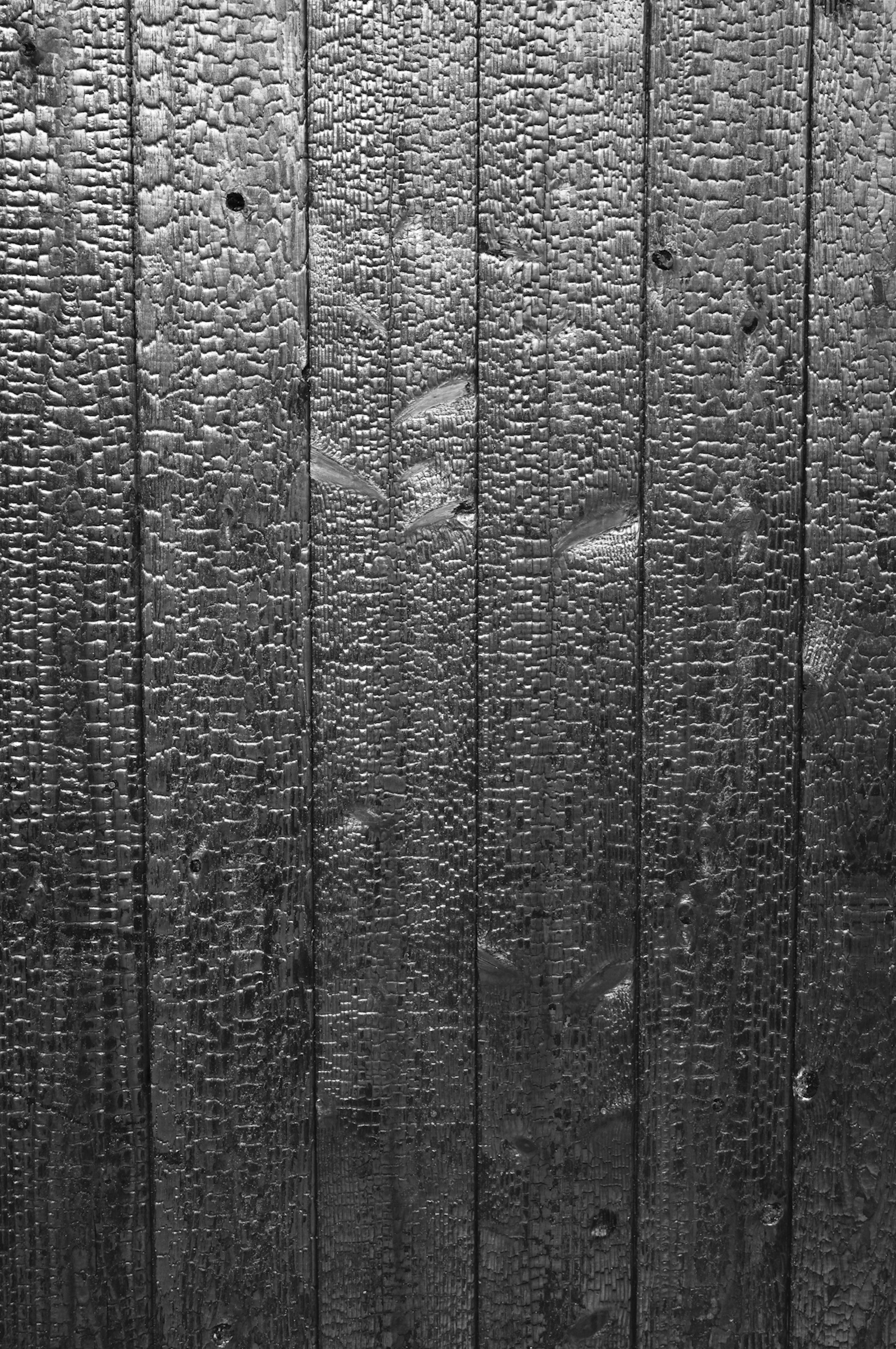 Textura de tablones de madera en blanco y negro con patrones distintivos