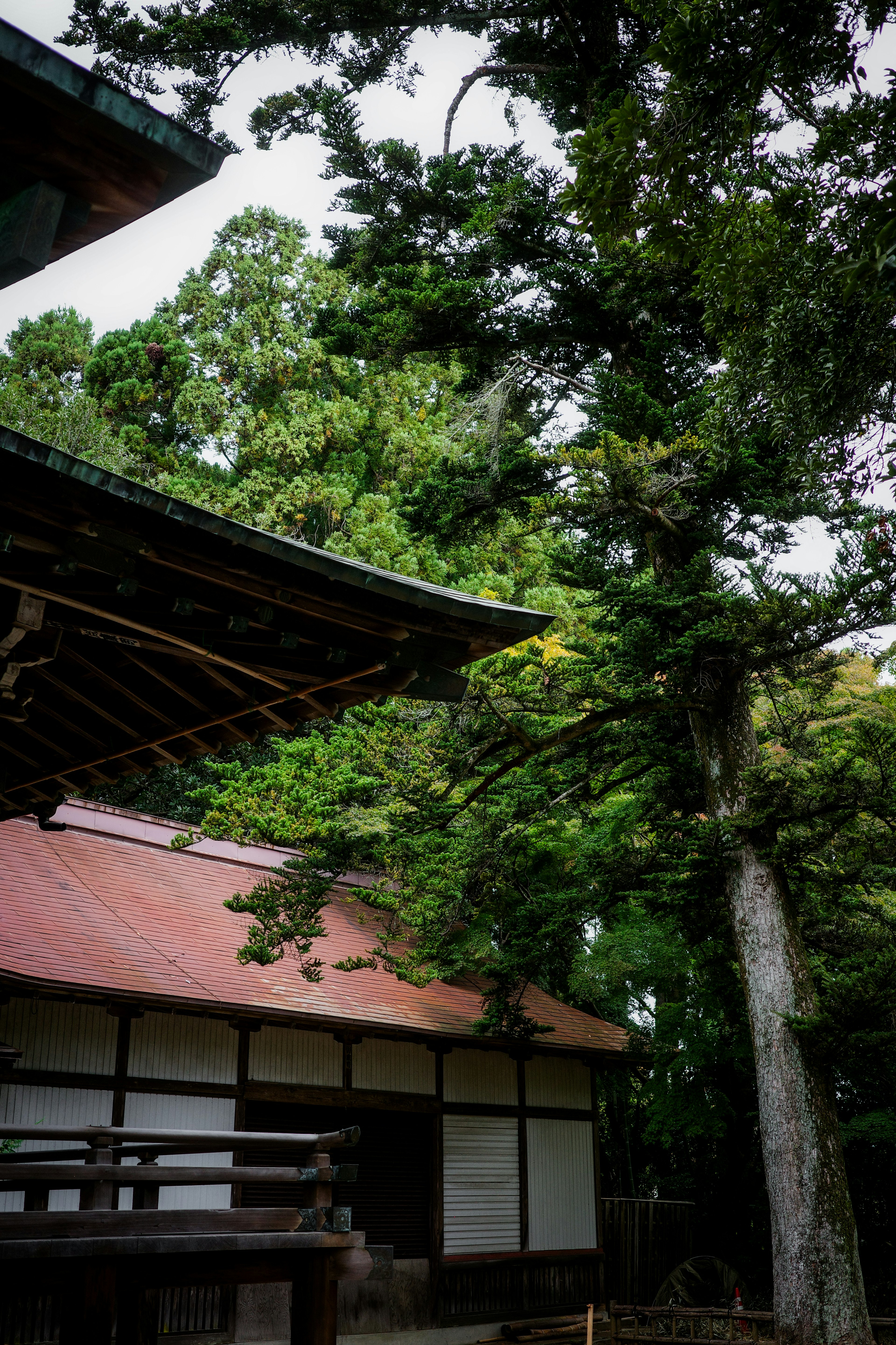 緑豊かな木々に囲まれた伝統的な日本の建物の一部