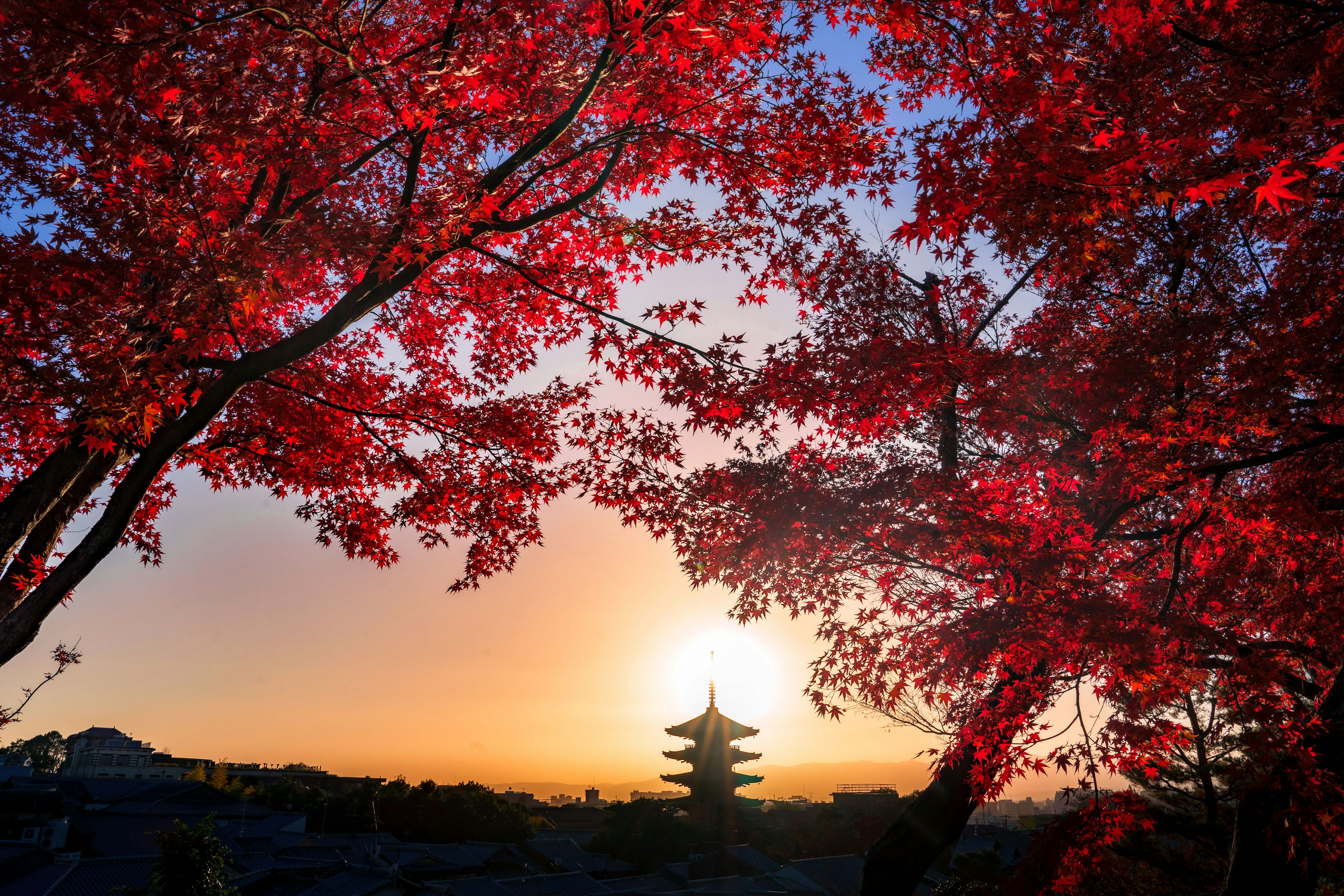 Vista de una pagoda enmarcada por vibrantes hojas de otoño rojas al atardecer