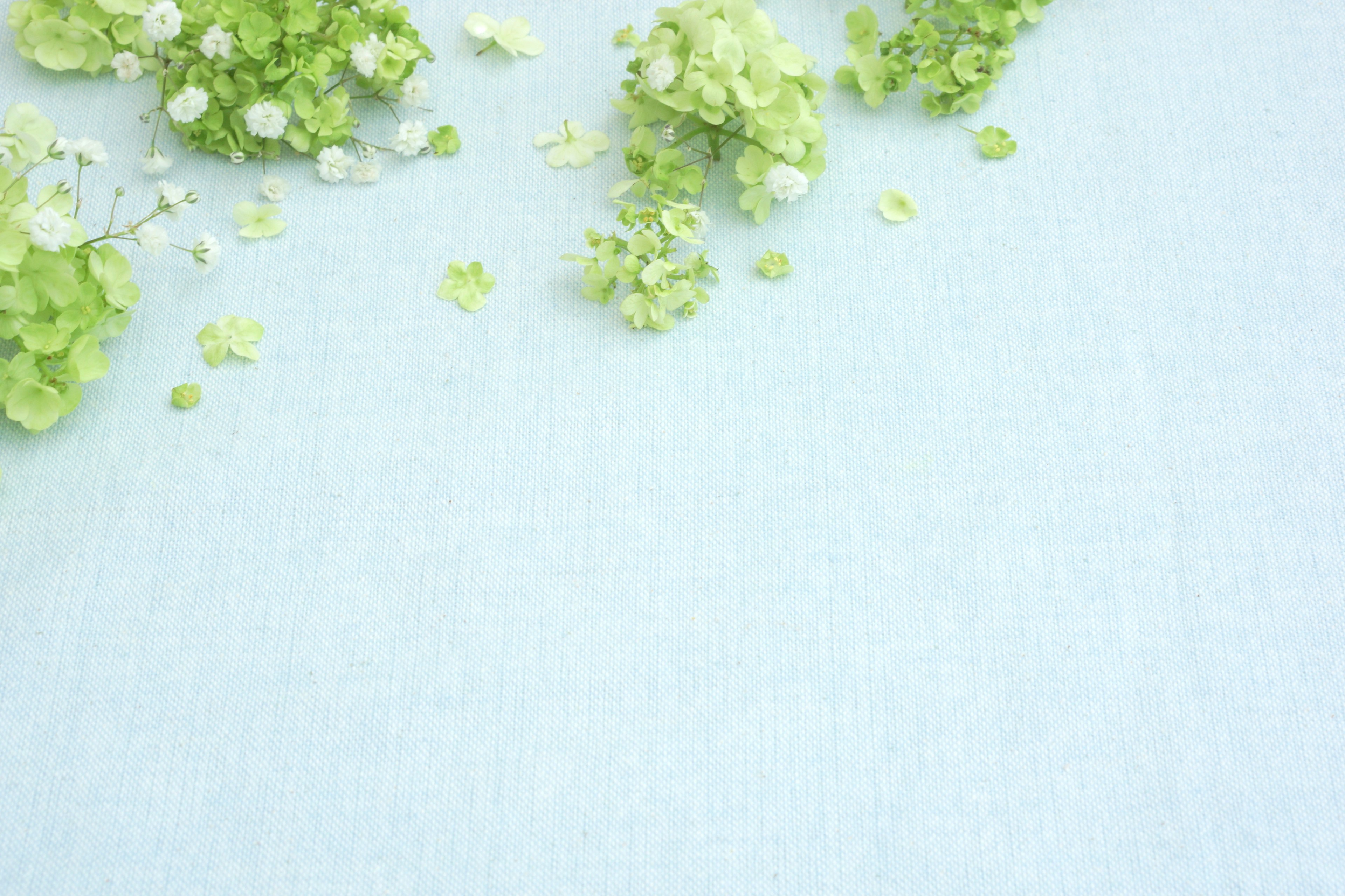 Light blue background with scattered green flower petals