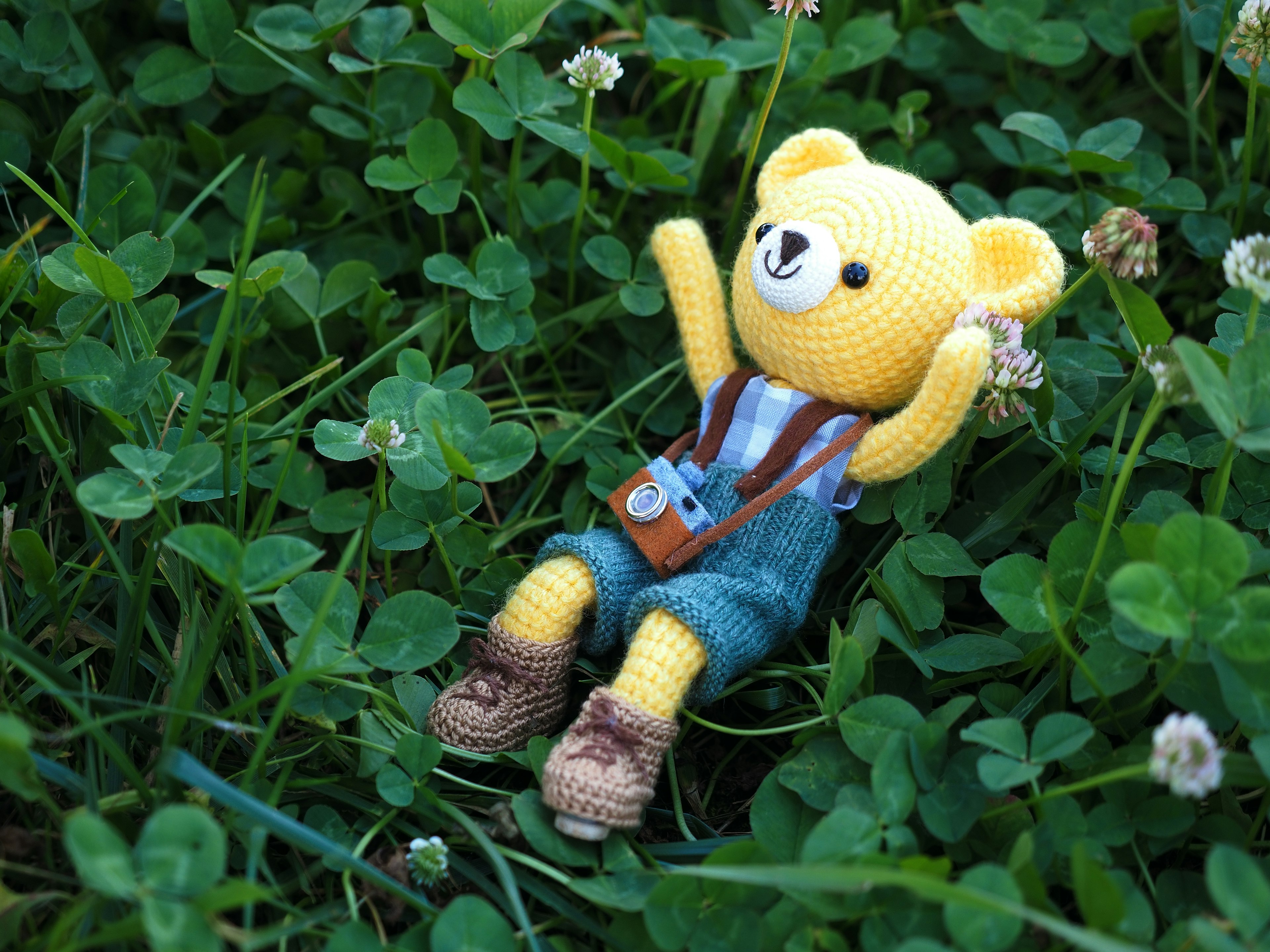 A yellow teddy bear doll lying among green clovers