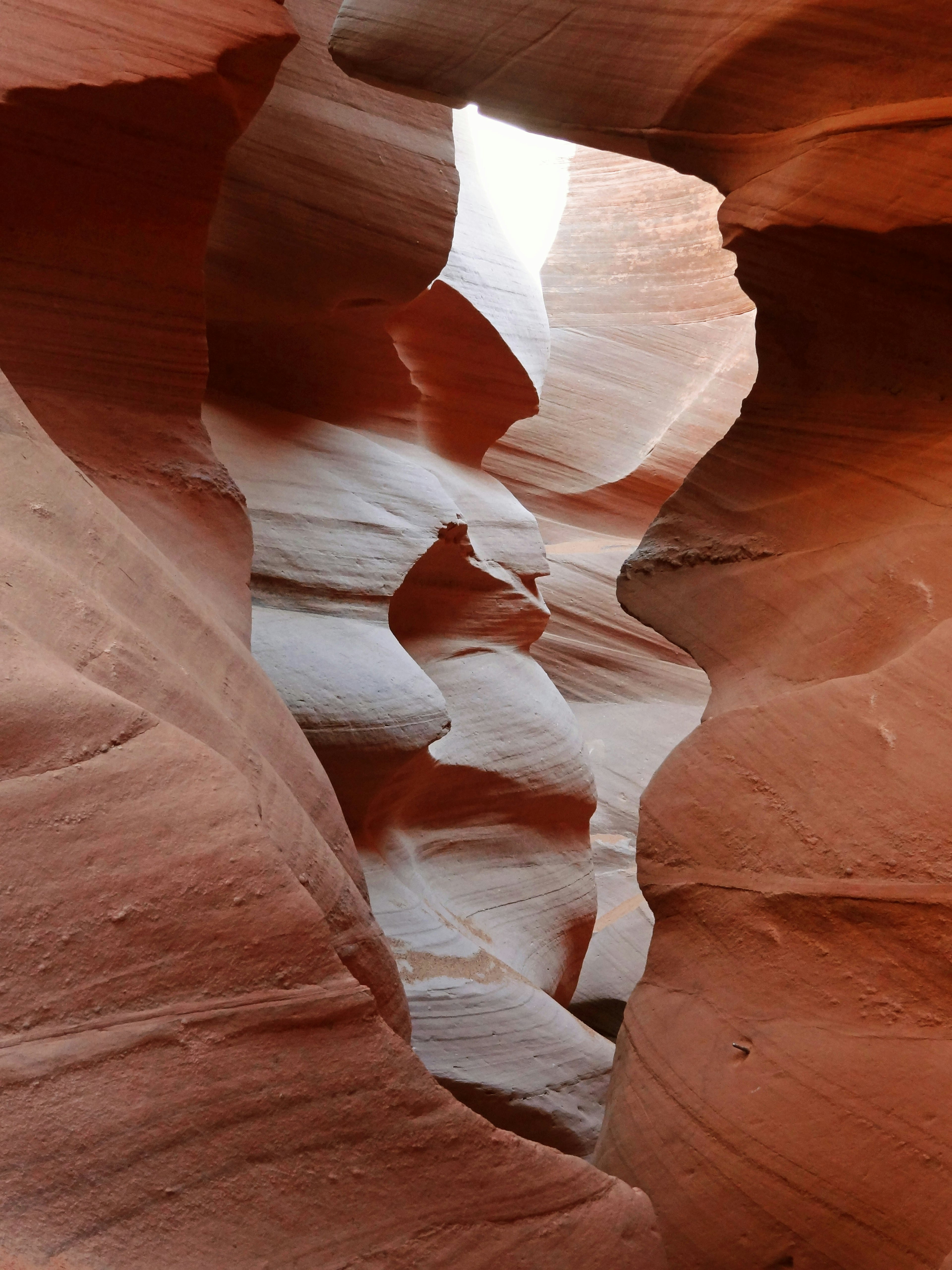 Vue intérieure du canyon Antelope montrant de belles formations en grès