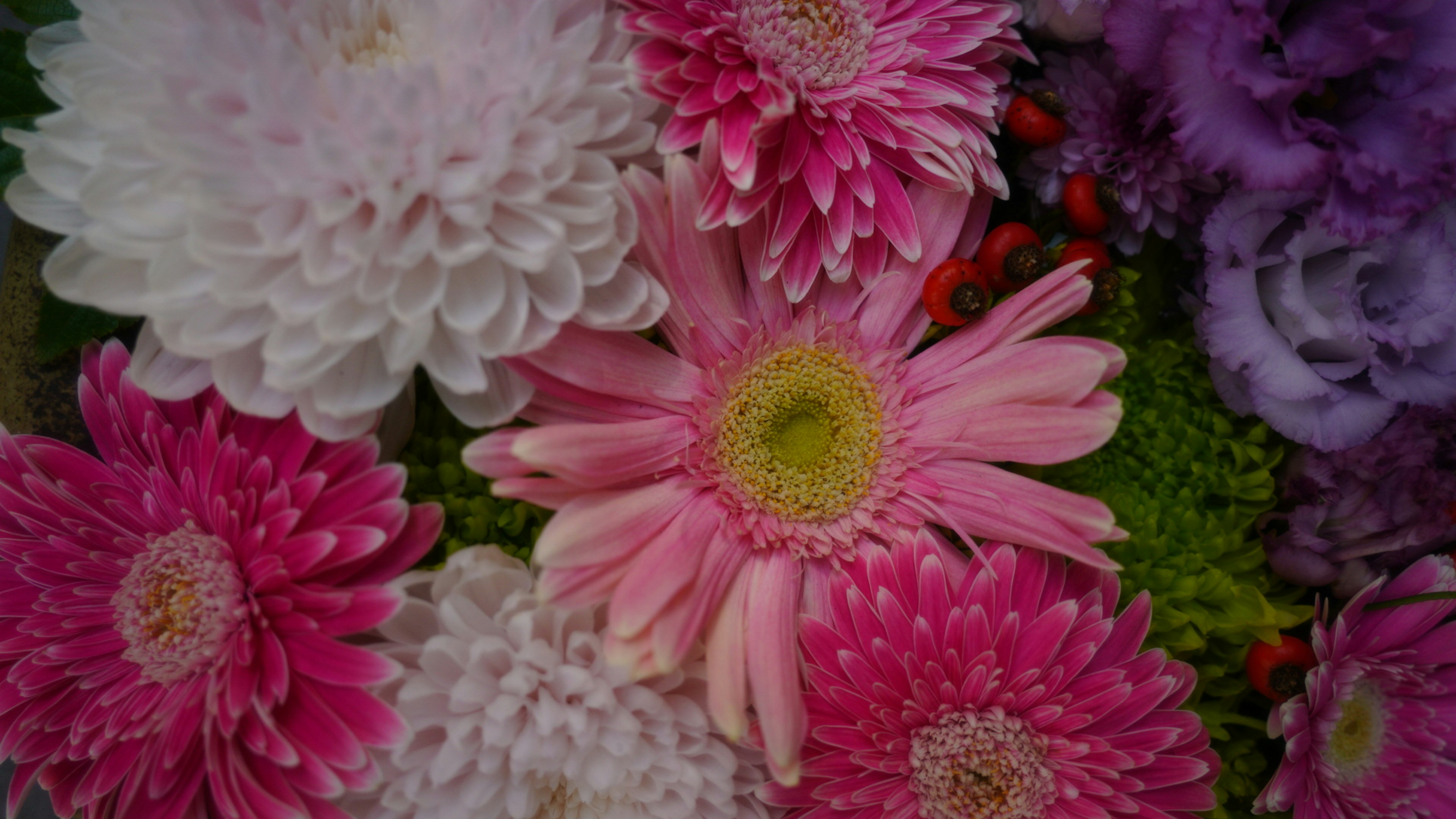 Un hermoso arreglo de flores coloridas que incluye margaritas rosas y blancas