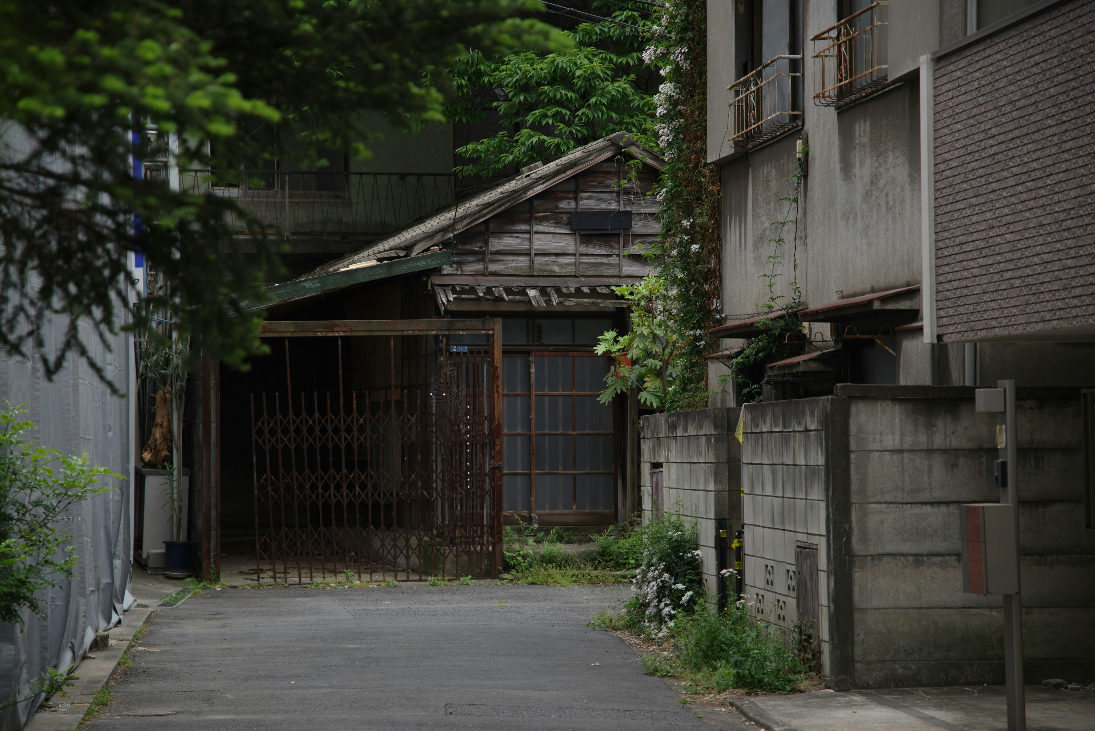 Narrow alleyway featuring the entrance of an old house surrounded by greenery