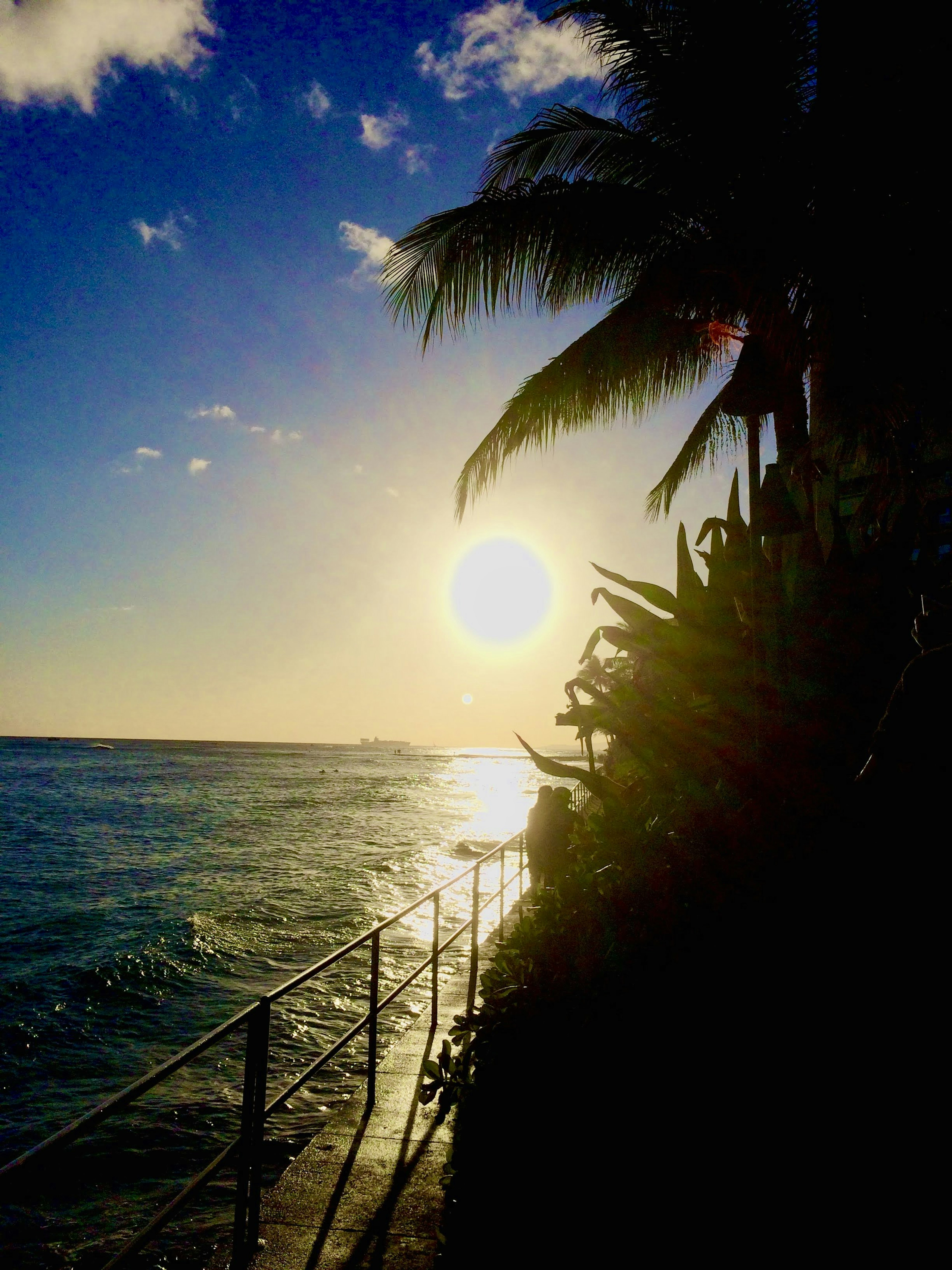 Hermosa costa con atardecer y palmeras