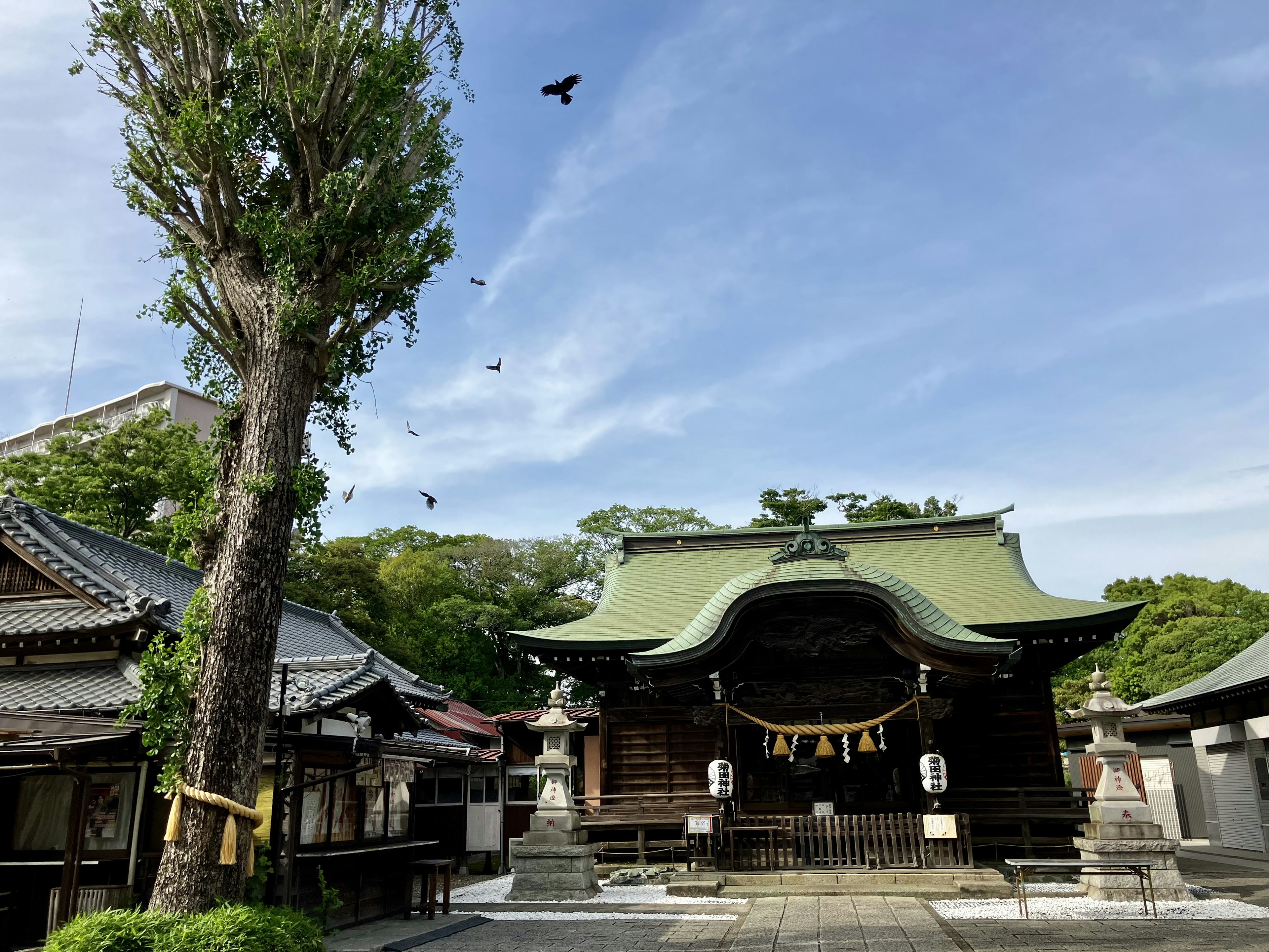 綠色屋頂的神社建築在藍天和樹木之間