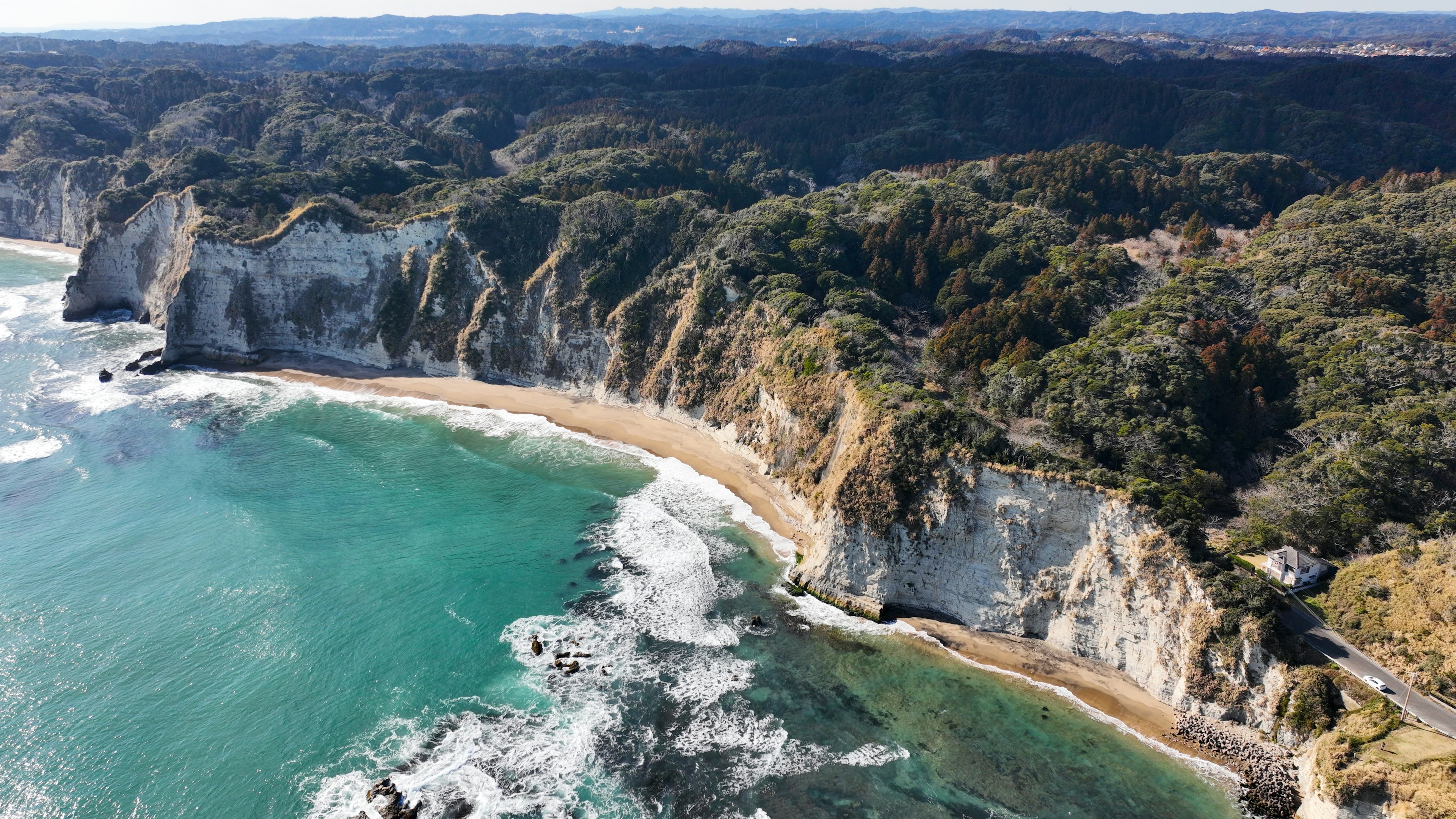 Costa panoramica con vegetazione lussureggiante e scogliere