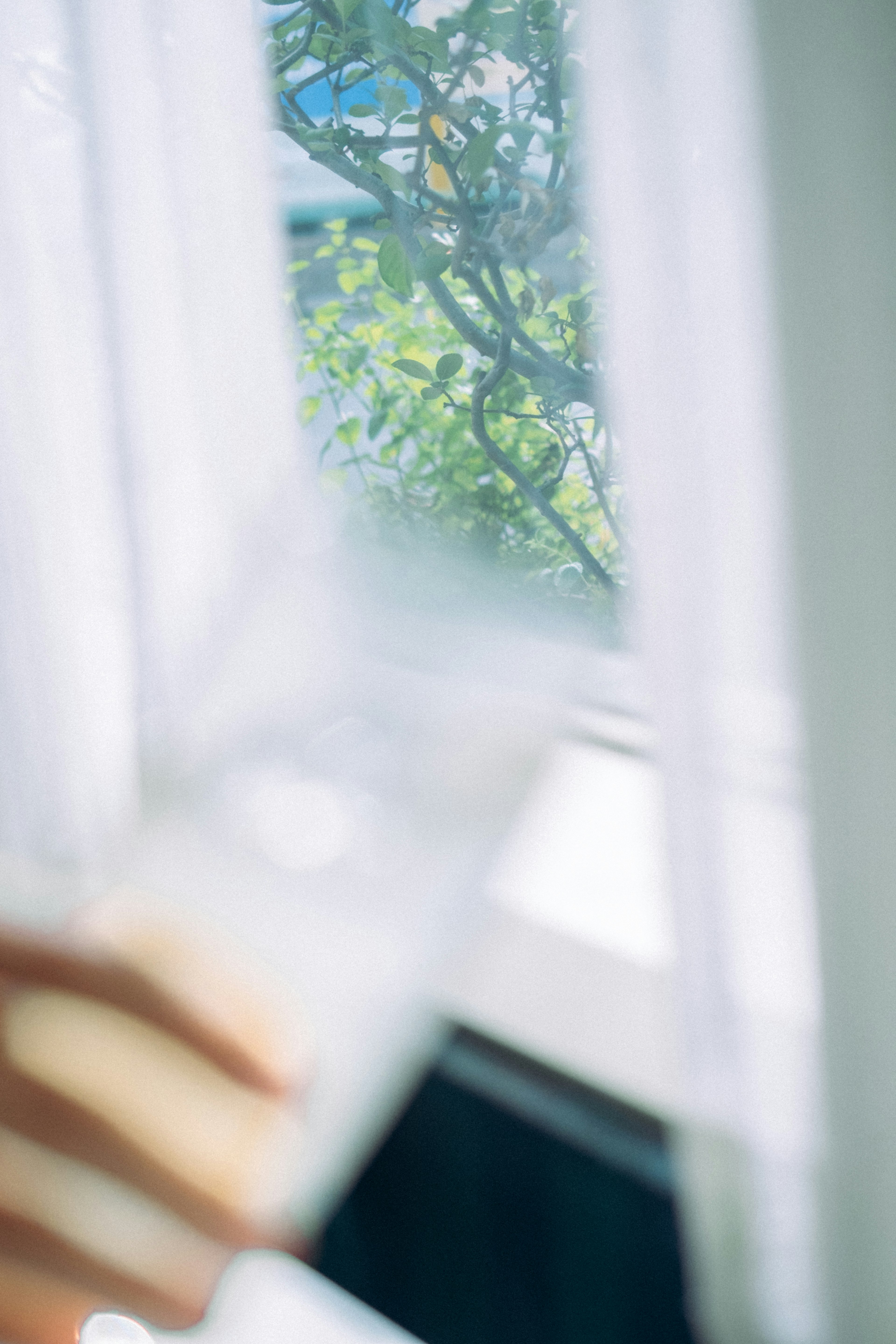 A soft curtain with a view of green trees outside the window