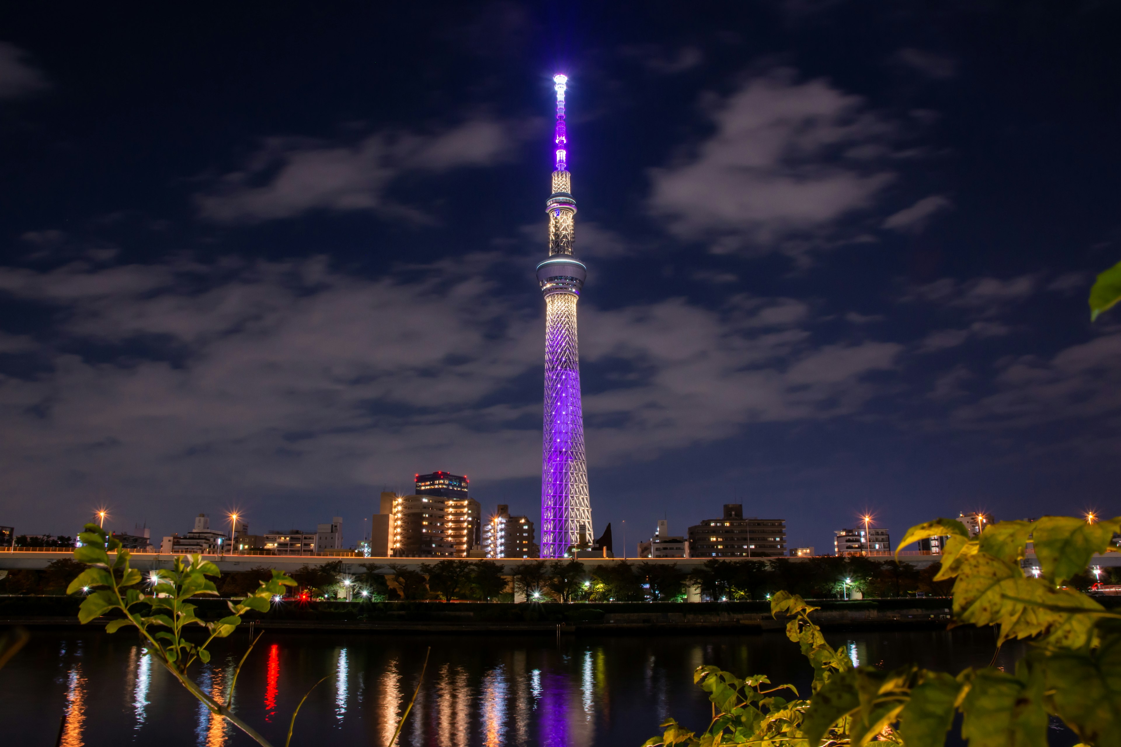 東京スカイツリーが夜空に紫色のライトで照らされている風景