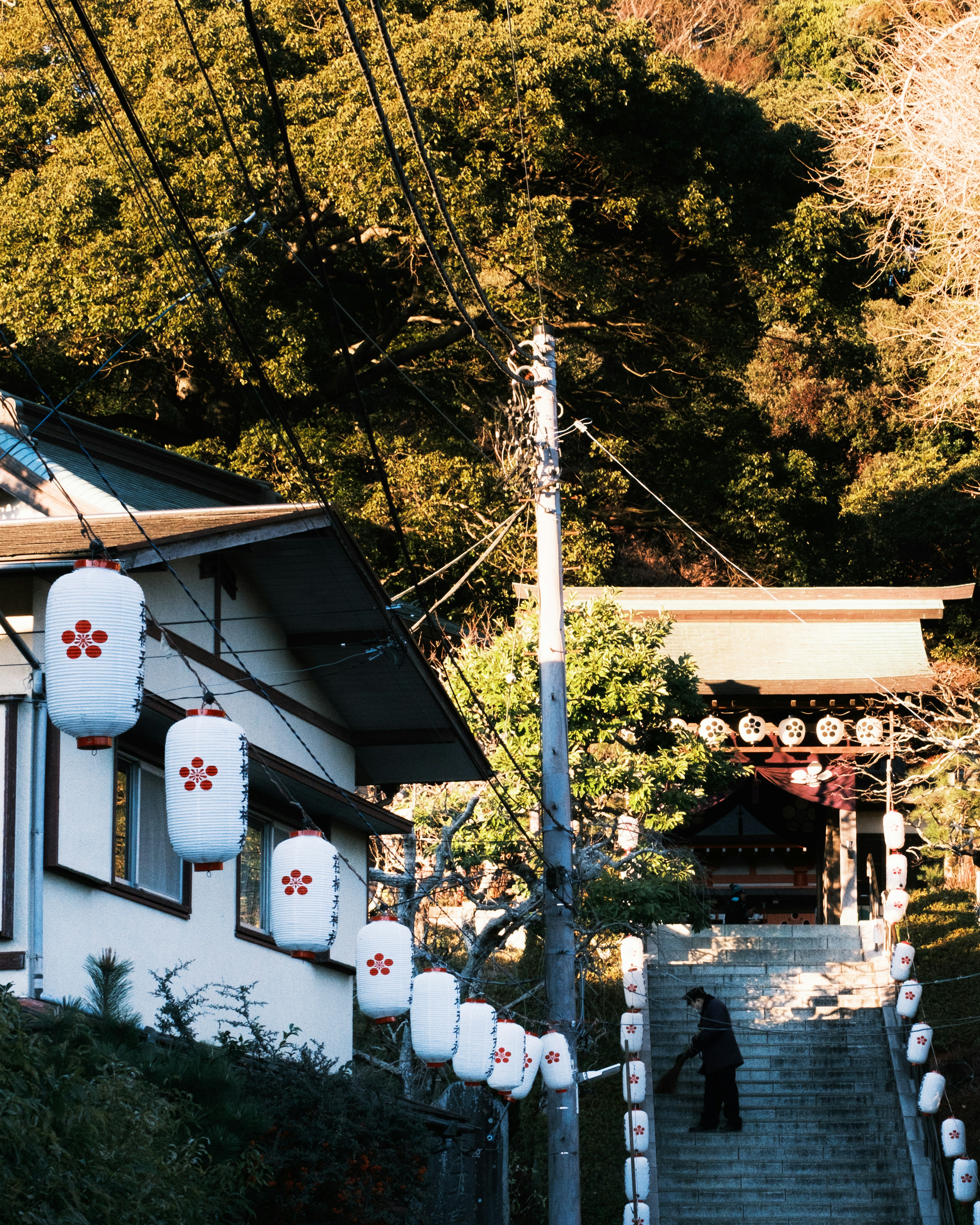 山の中にある神社への階段と提灯が並ぶ風景