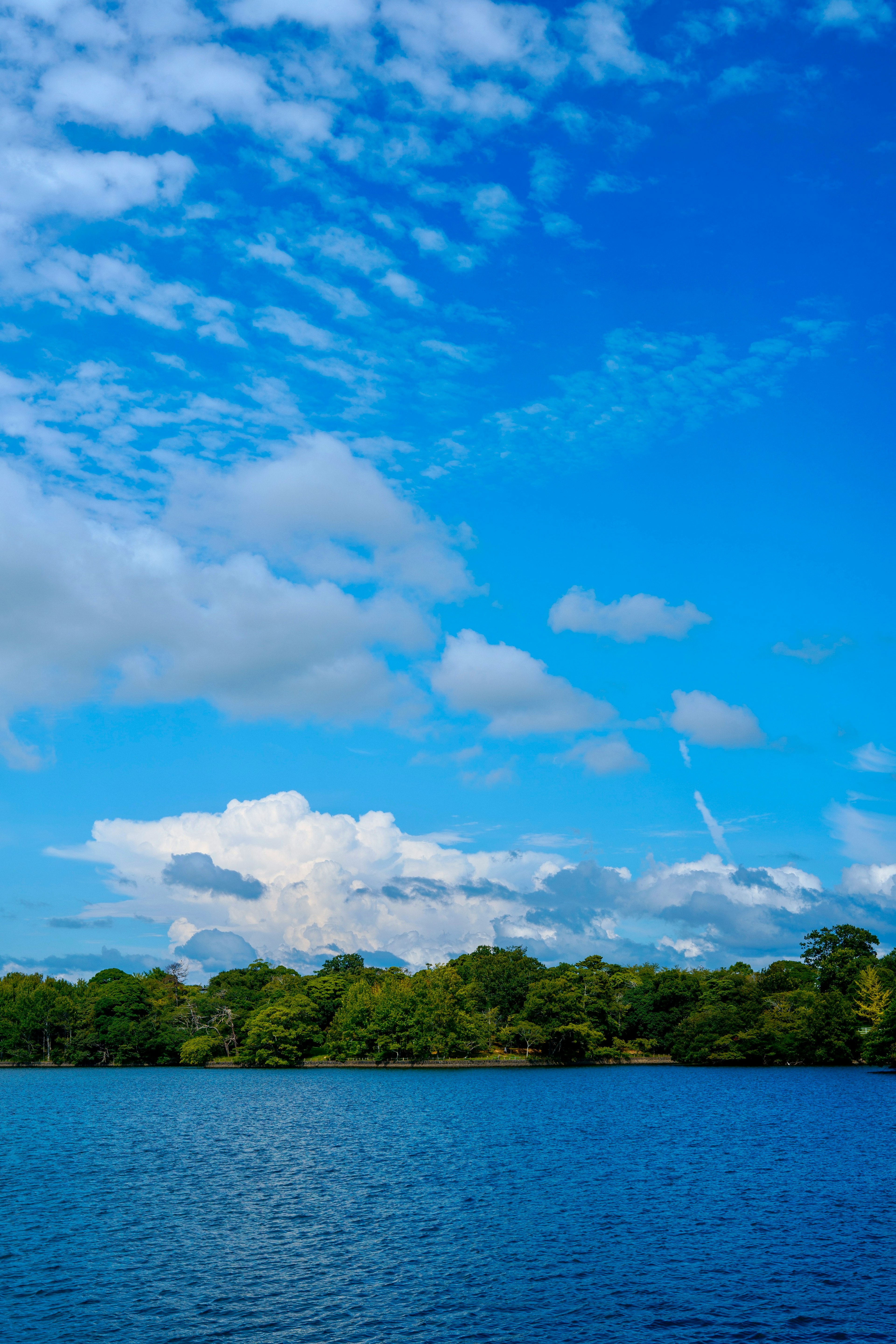 青い空と白い雲が広がる湖の風景 水面に反射する緑の木々