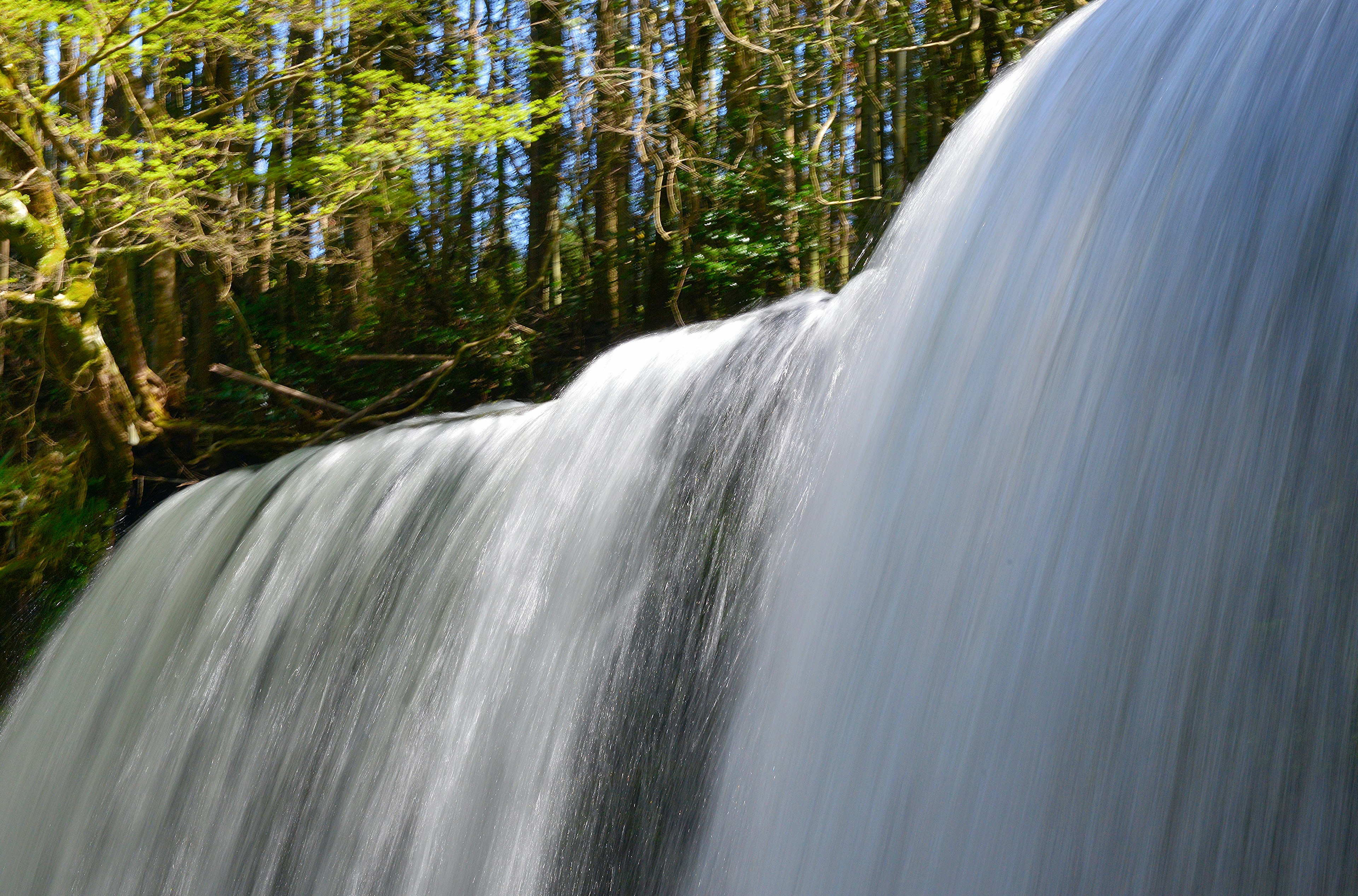 Pemandangan alam yang indah dengan air terjun dan pohon hijau