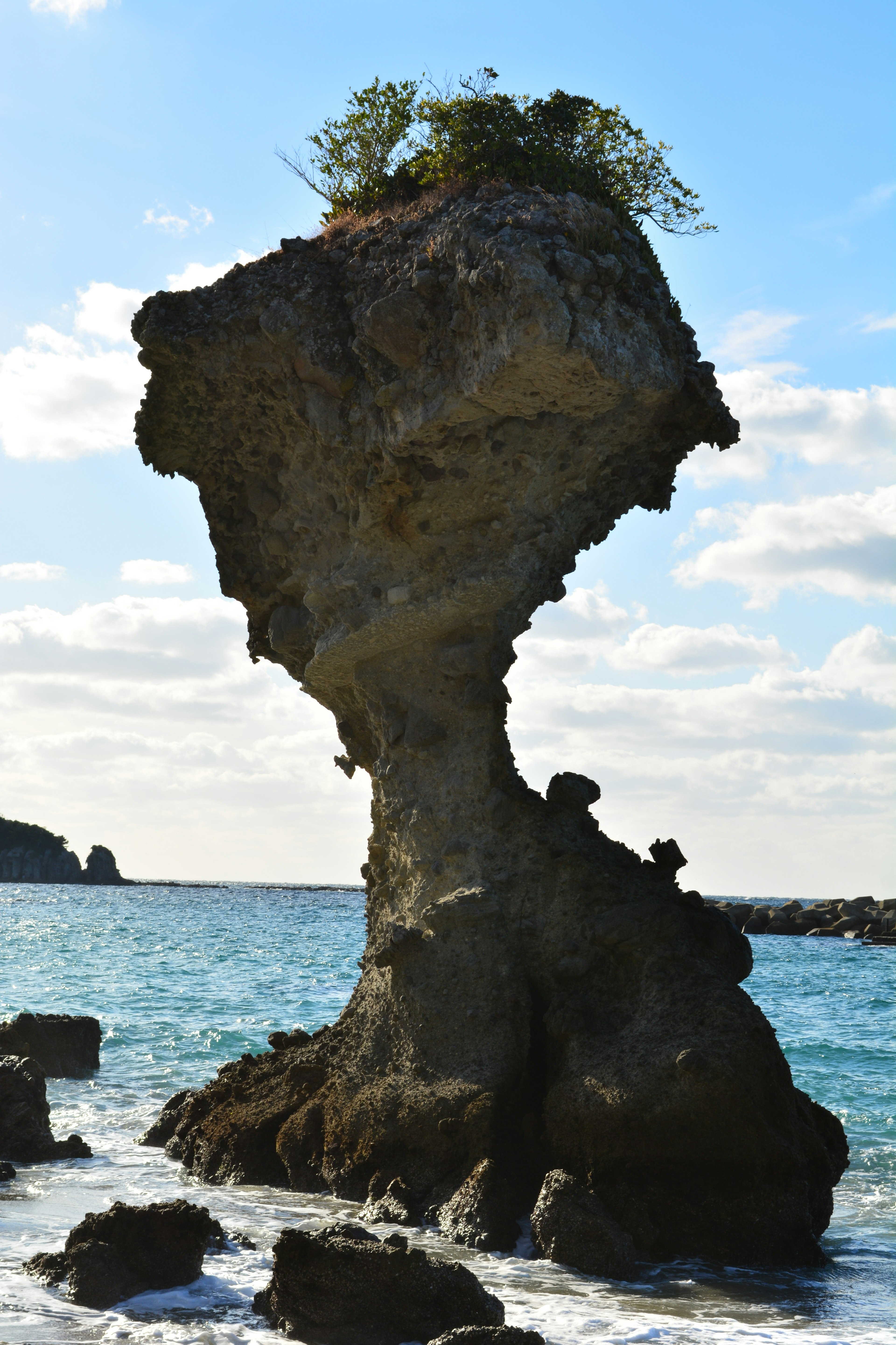 Formazione rocciosa unica che si erge sulla costa con un piccolo albero in cima