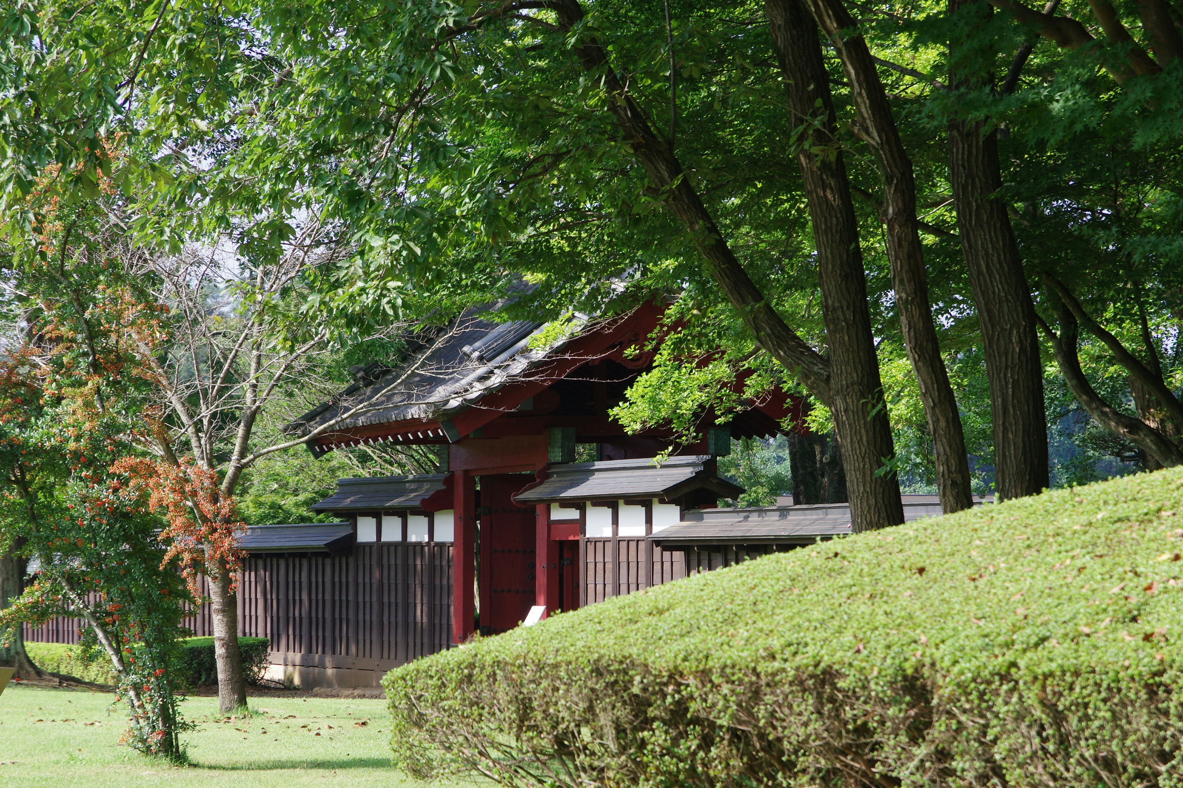 Traditional Japanese gate and building surrounded by green trees