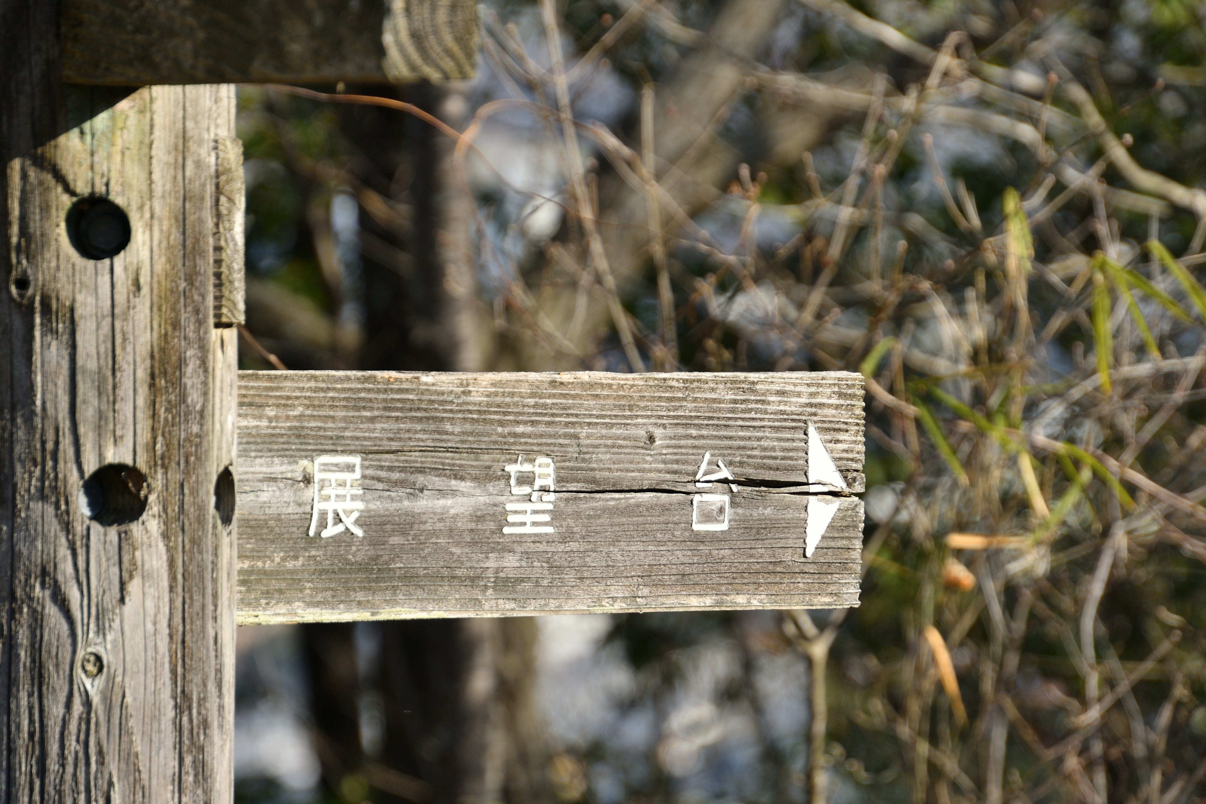 木制标志牌上有汉字方向和自然背景